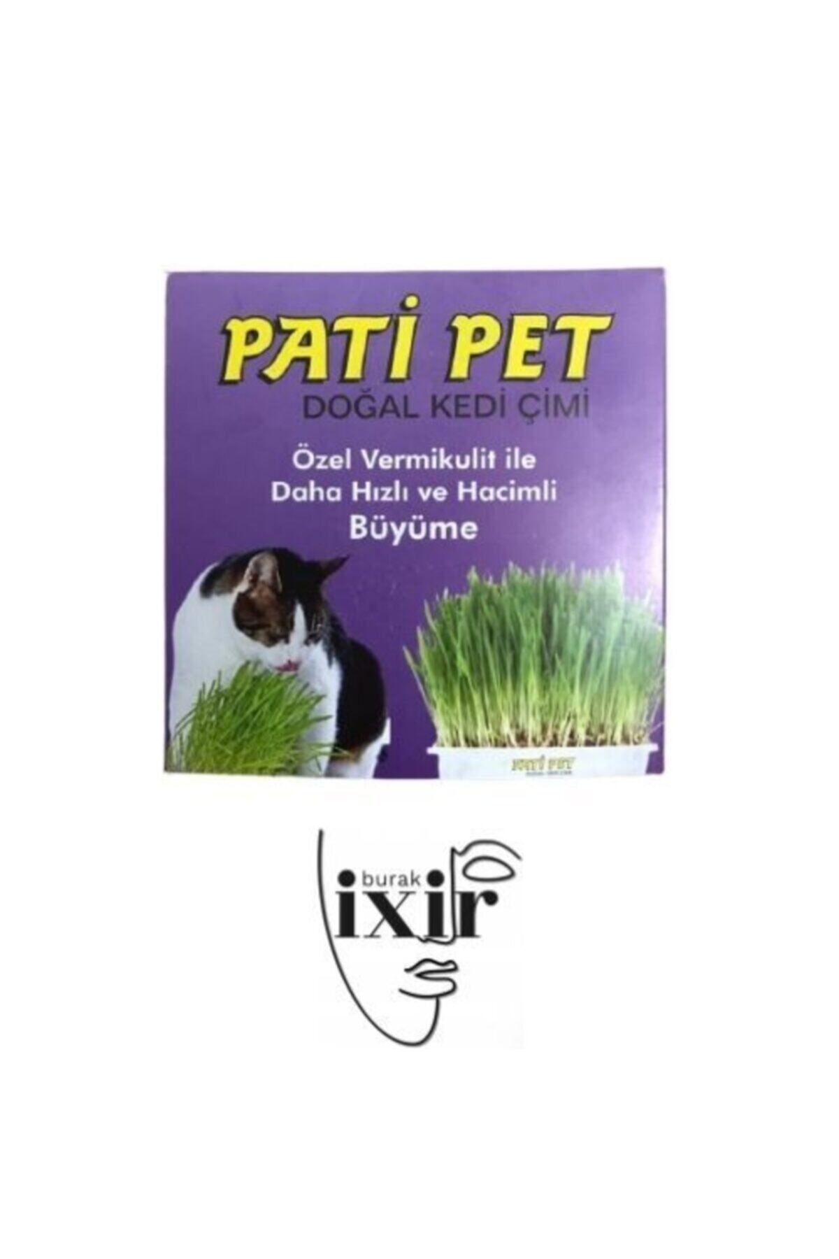 Paticat Cat Grass Pati Pet Doğal Kedi Çimi ( Özel Vermikulit Ile Daha Hızlı Ve Hacimli Büyüme )