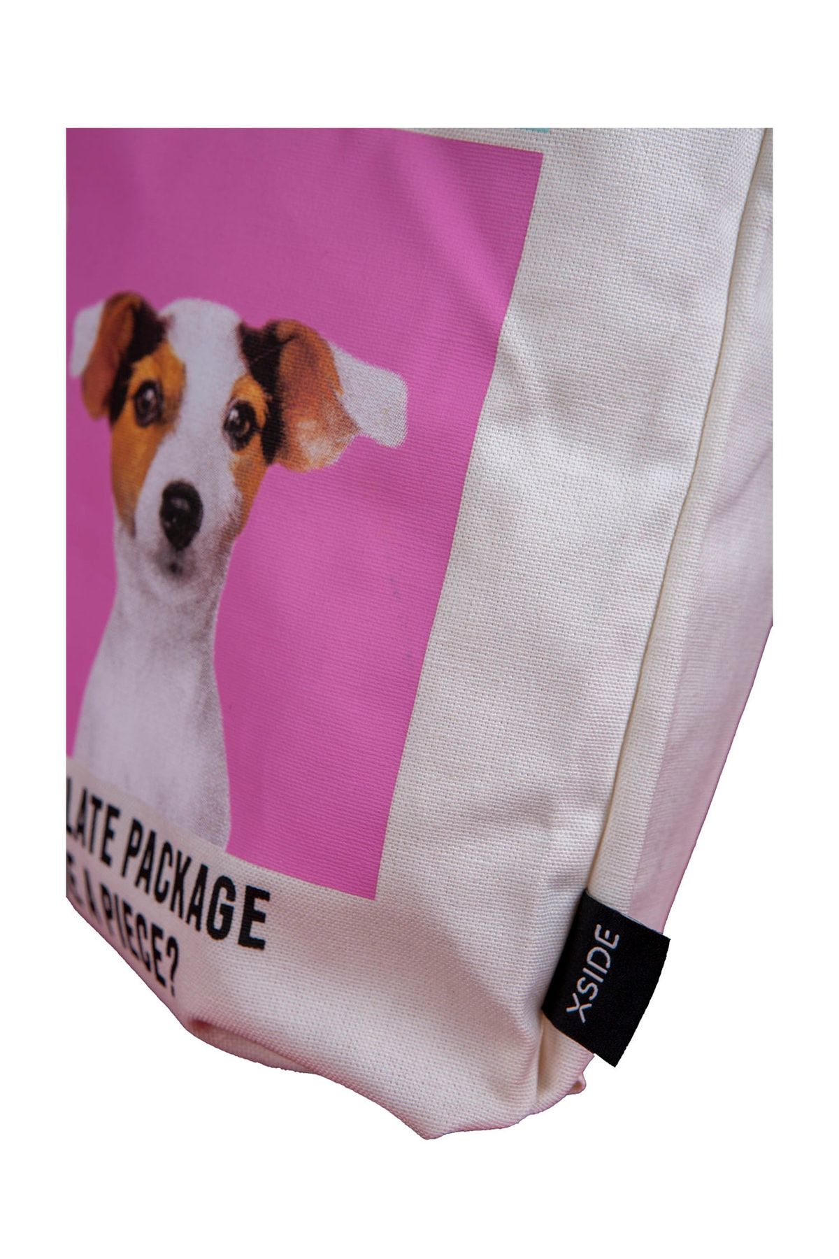 Dog ate cloth cheap
