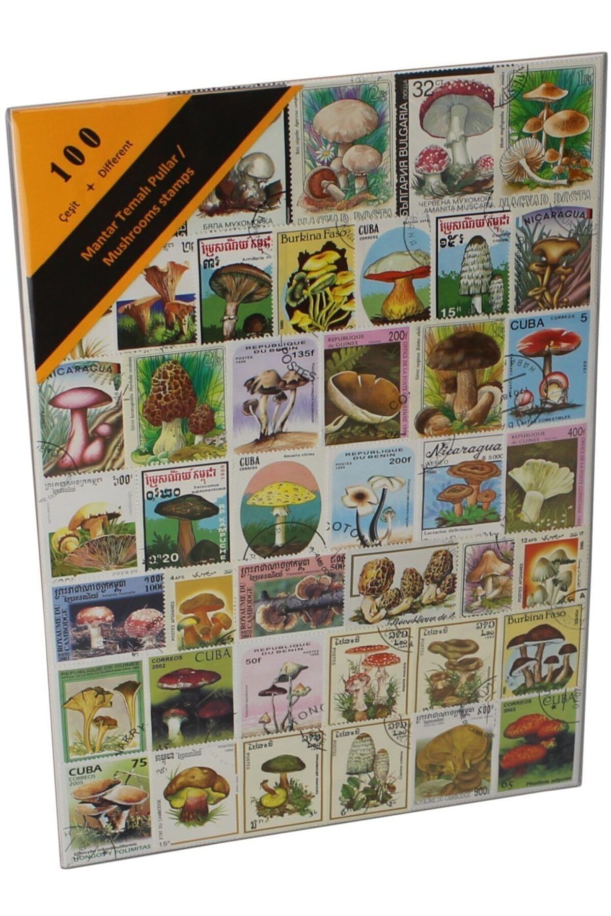 Pulko History 1970 100 Çeşit Damgalı Tematik (ince, Jelatinli Paket) (yeni),