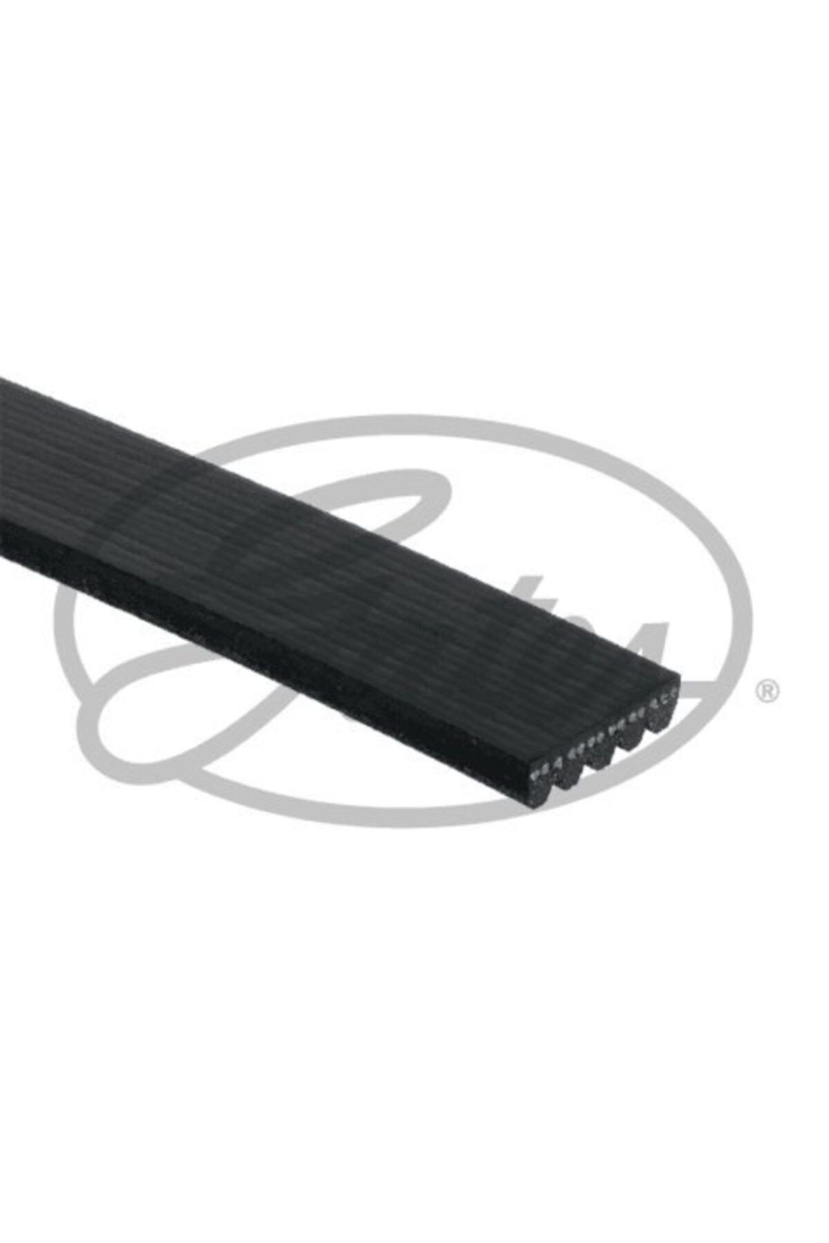 GATES Kanallı Kayıs Palıo Sıena 1.4 1.6 (58361) / (5pk948)