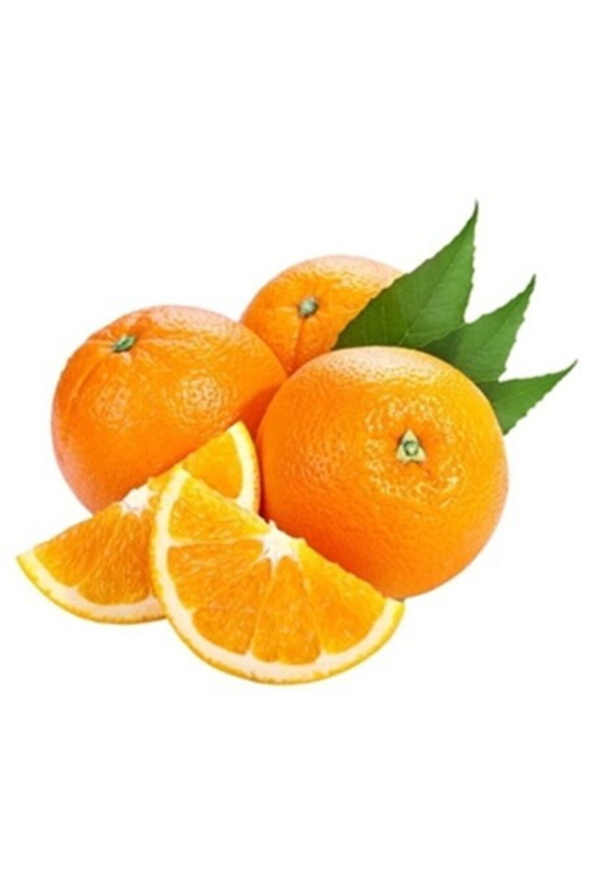 Yenir tarım ürünleri Portakal Sıkmalık File 1kg