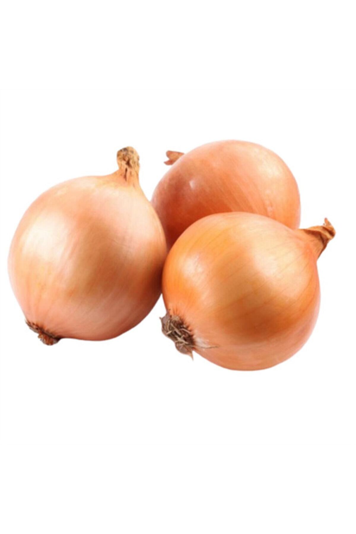 Yenir tarım ürünleri Soğan Kuru File (1kg)