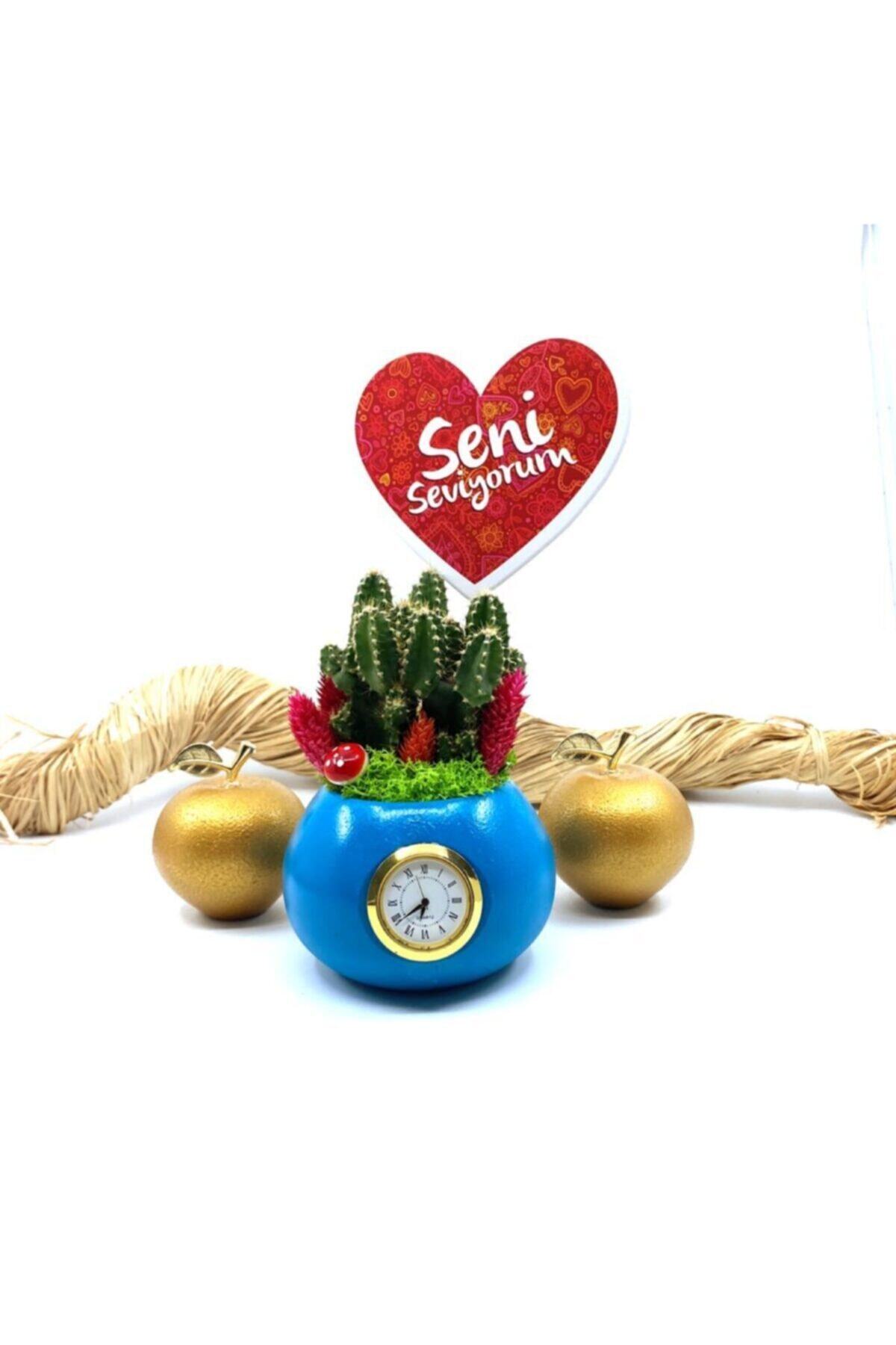 YİĞİTOĞLU DESIGN Yeşil Canlı Kaktüs Çiçekli Saatli Saksı Aranjmanı G228