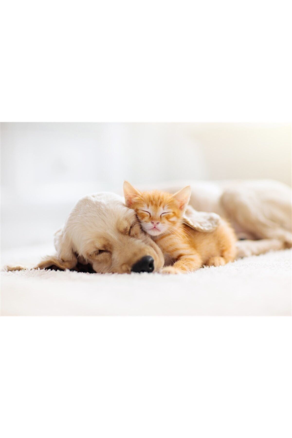 MOVAS Sanat Bir Anne Köpek Ve Kedi Yavrusu Elmas Mozaik Tablo / Mozaik Puzzle 55x36cm E2020719