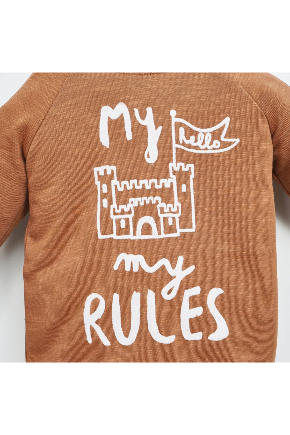 Panco Erkek Bebek Sweatshirt 21bb Fiyati Yorumlari Trendyol