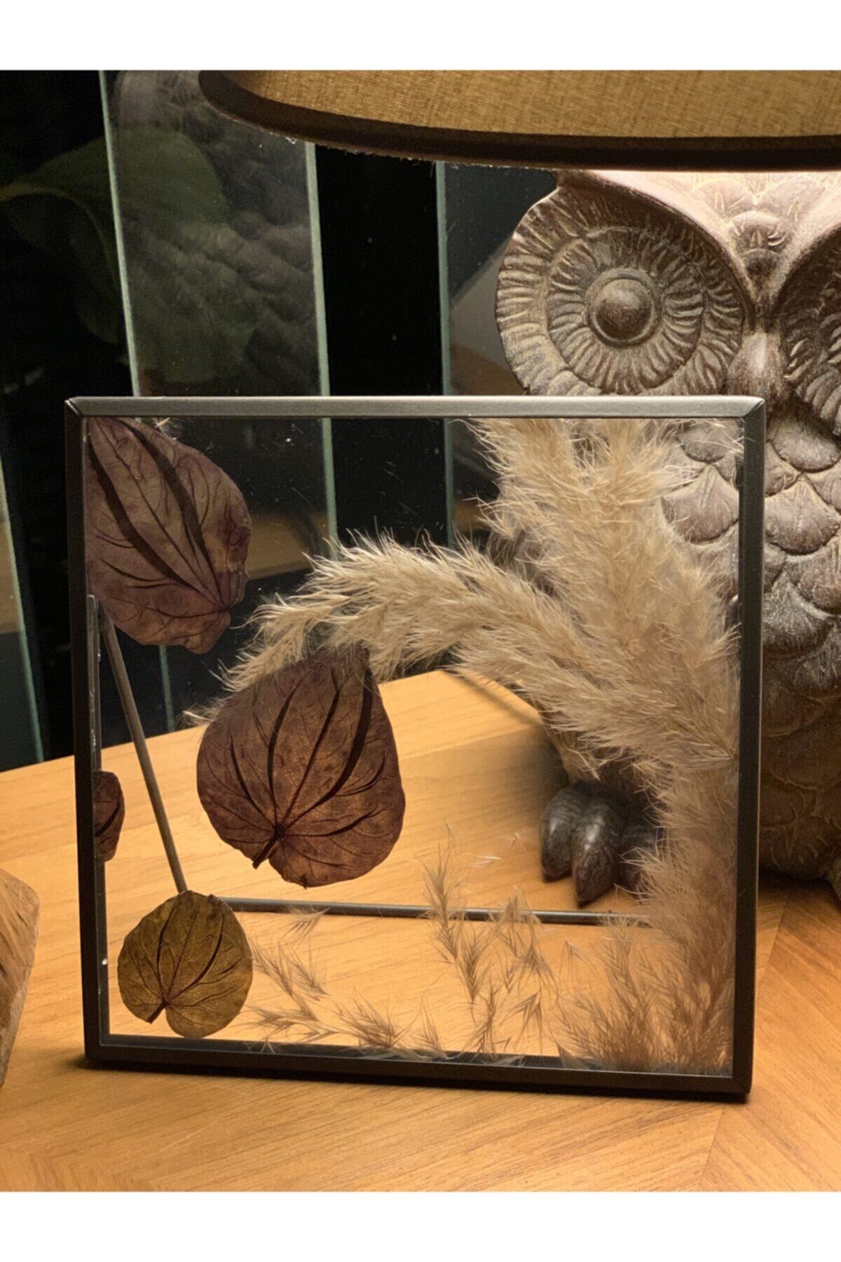 Gussa Design Peperomia&pampas Pressedleaves