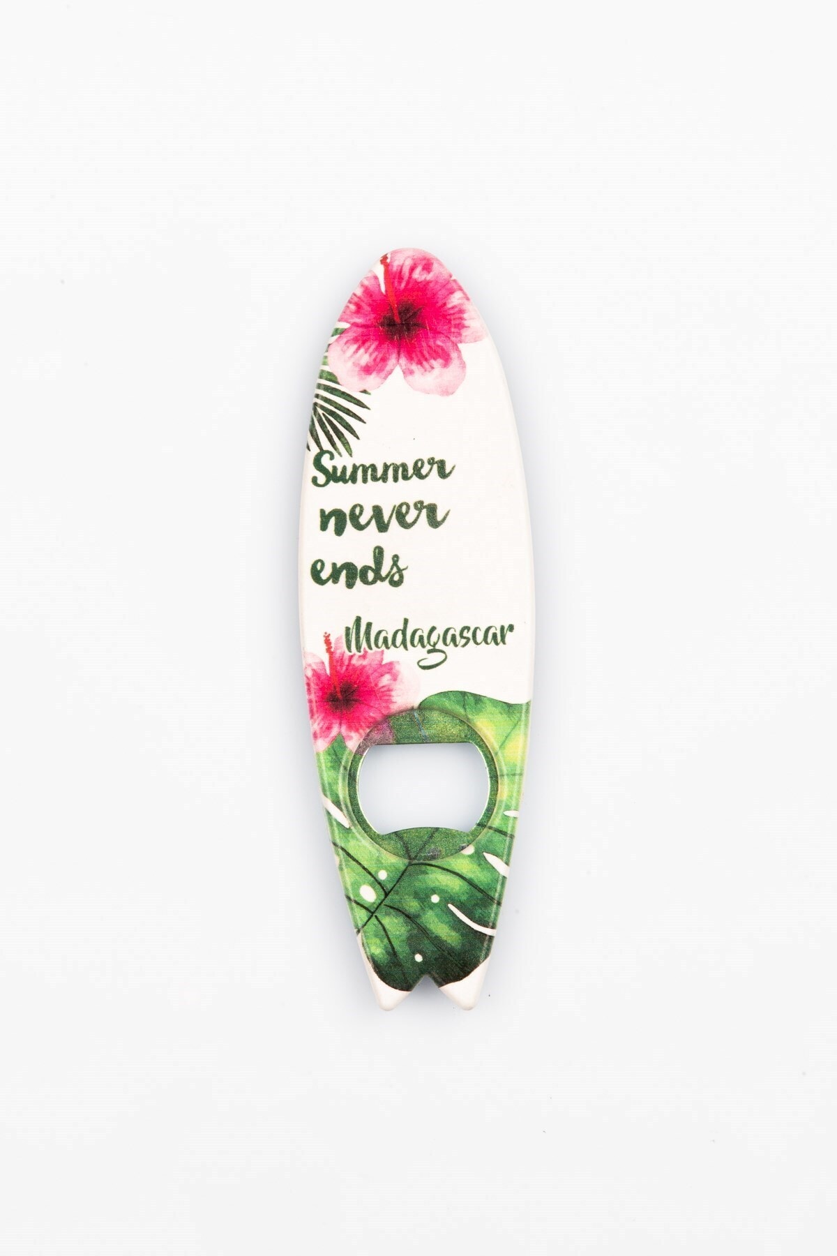 Dünyadan Hediyeler Madagaskar Temalı Magnet Sörf Açacak