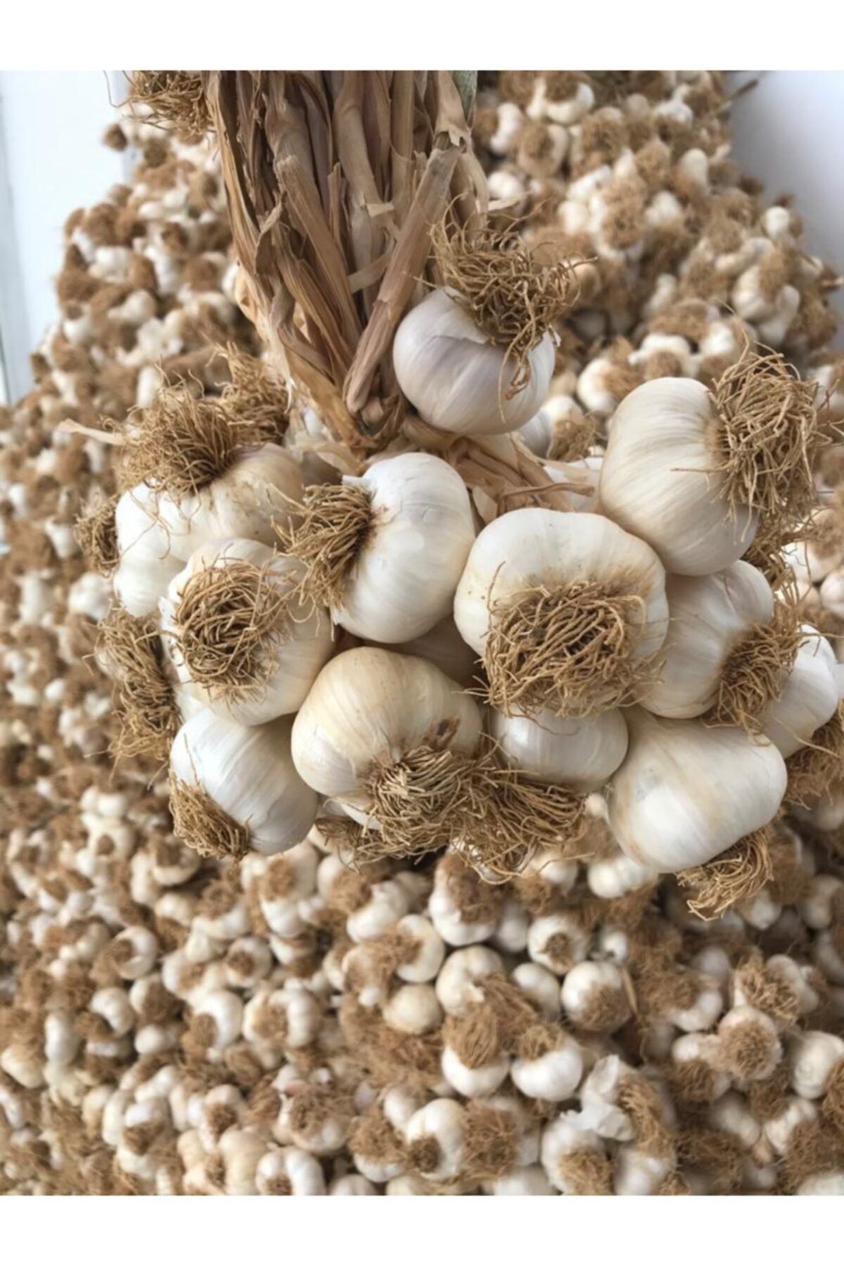 Edovital Taşköprü Sarımsağı - 1 Kg