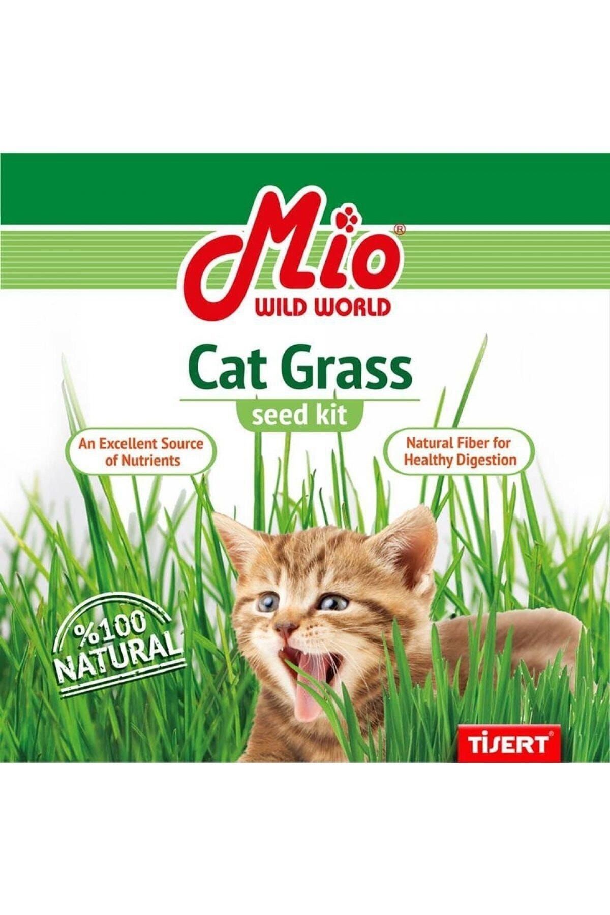 MİO Kedi Çimi Fileli
