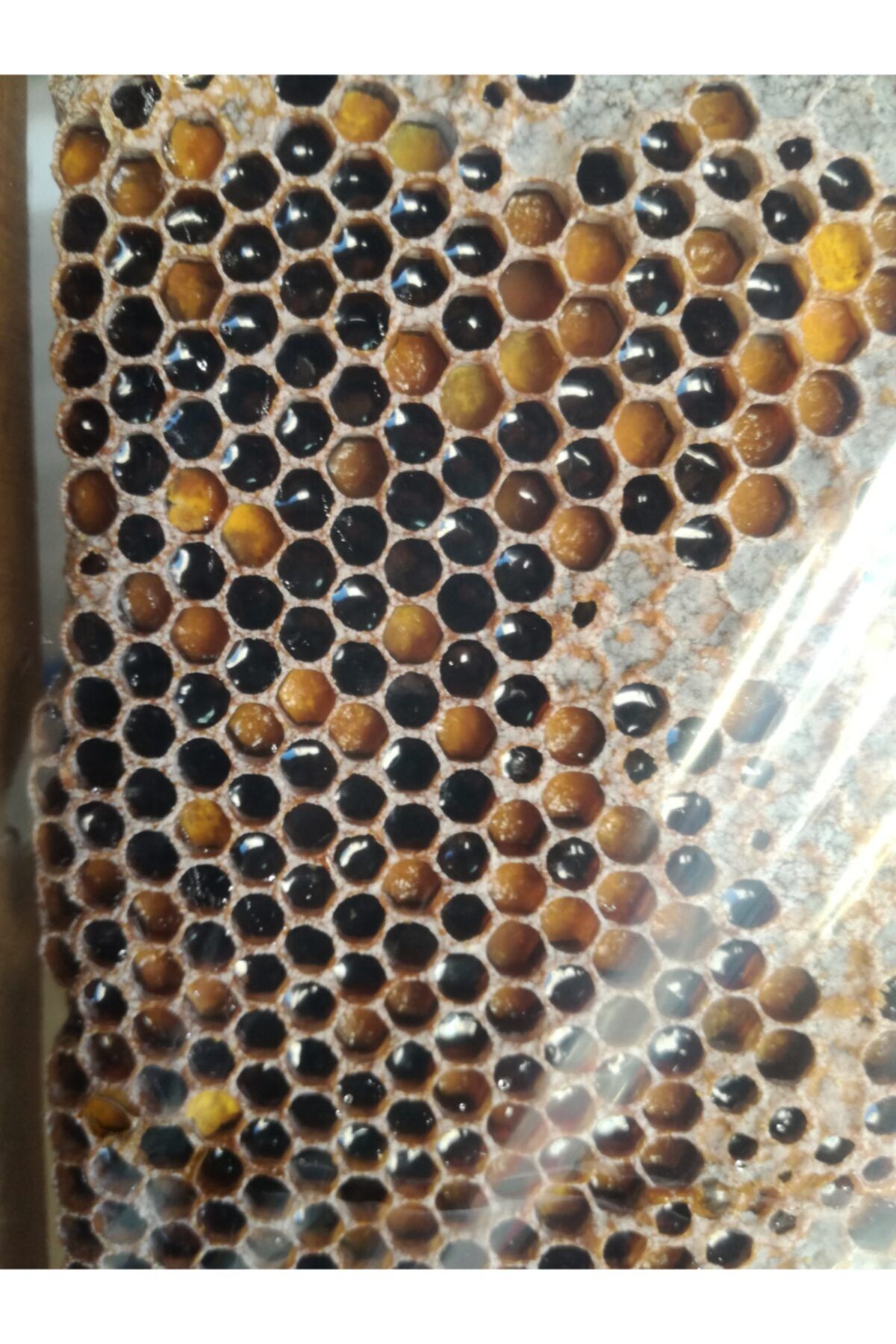 OZMUŞ BAL Sivas Dan Ham Polen 1kg