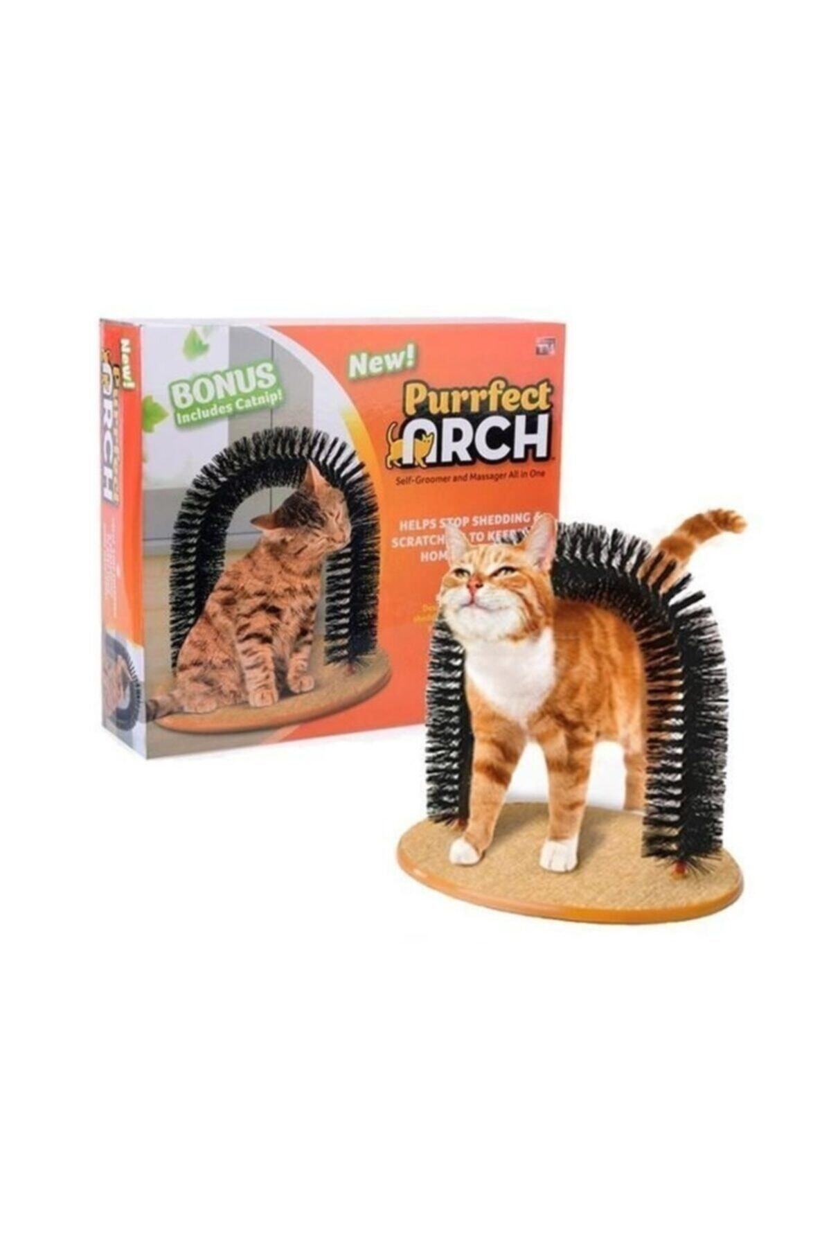 Purrfect Arch Kedi Tırmalama Ve Kaşınma Tahtası