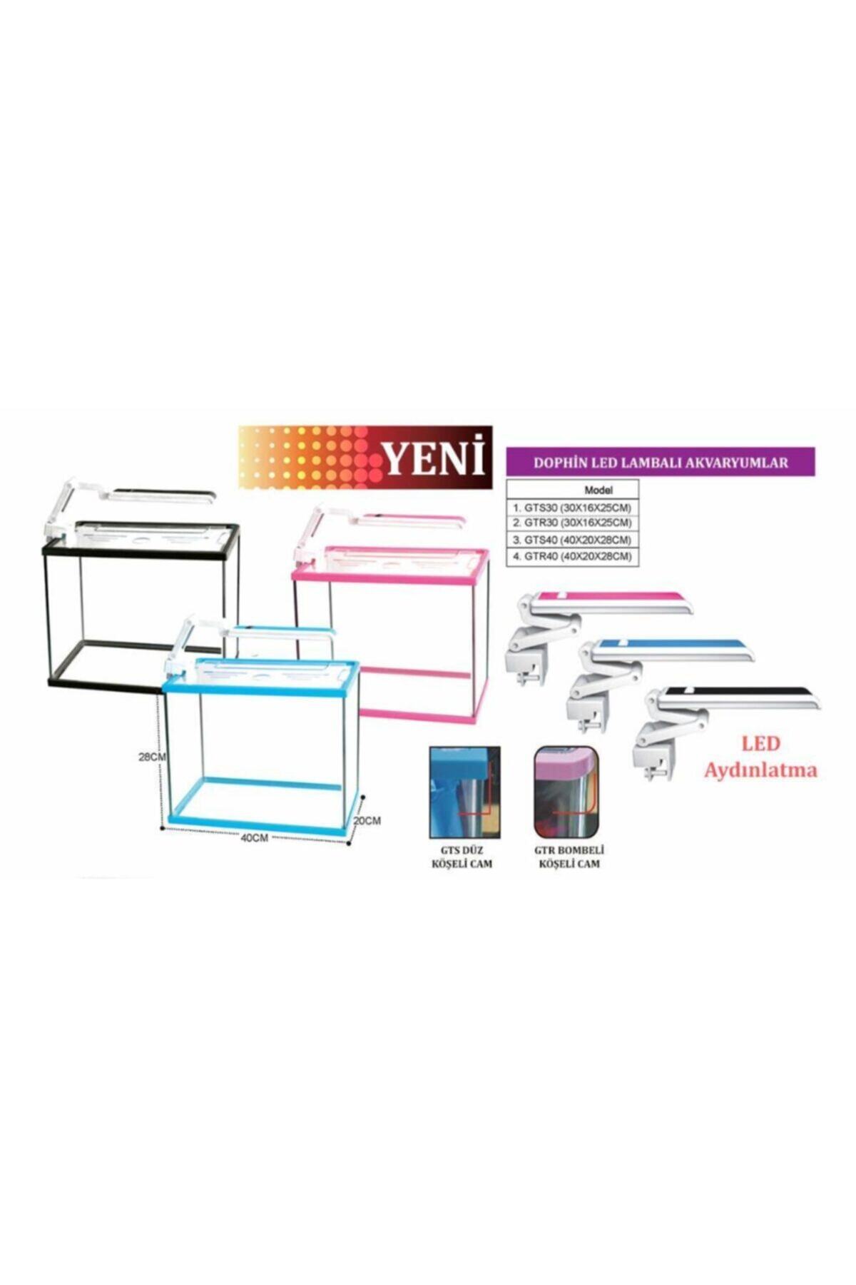 Dophin Gts40 Led Lambalı Akvaryum 40x20x28 Cm