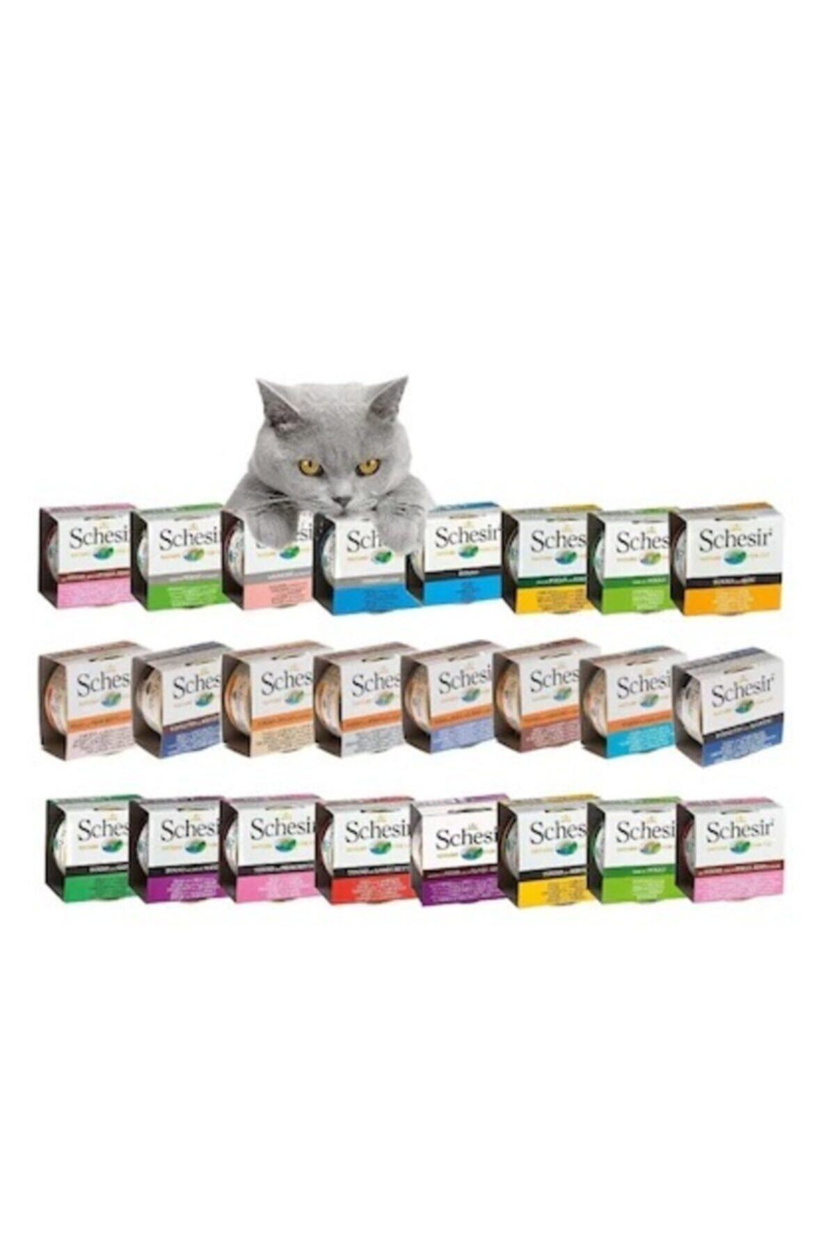 Schesir Kedi Konserve Maması 24'lü Özel Paket