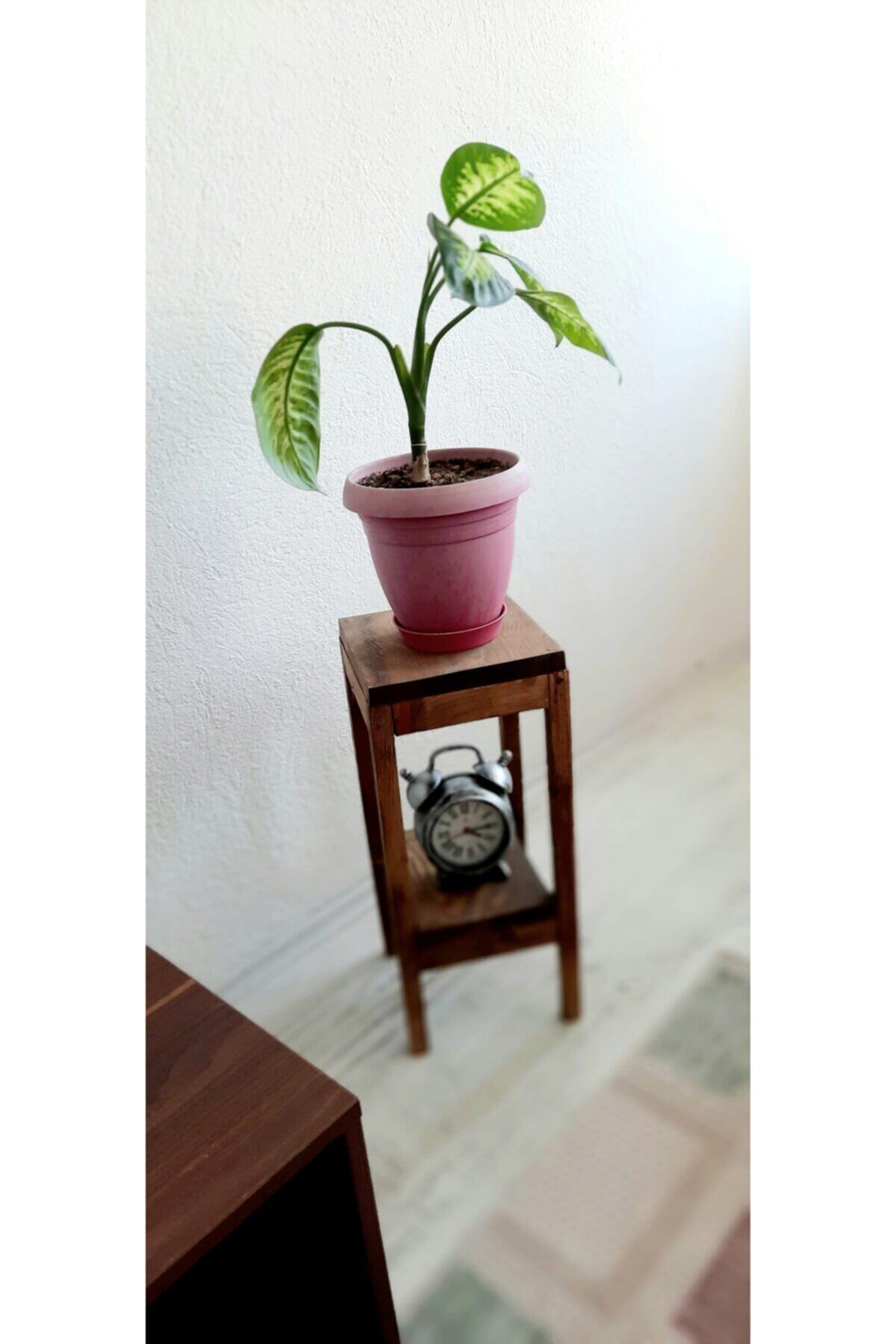 KZNGROUP Dogal Ahsap Özel Tasarım Sehpa & Orta Sehpa