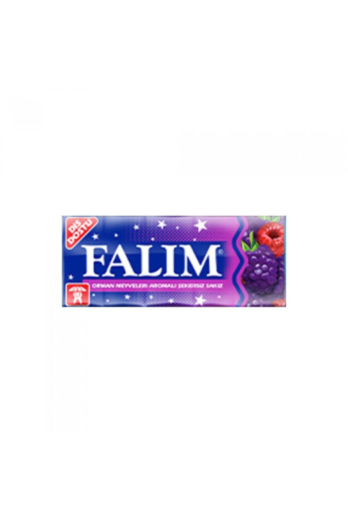 Falım Sakız Orman Meyveleri 5'li x 20'li Paket