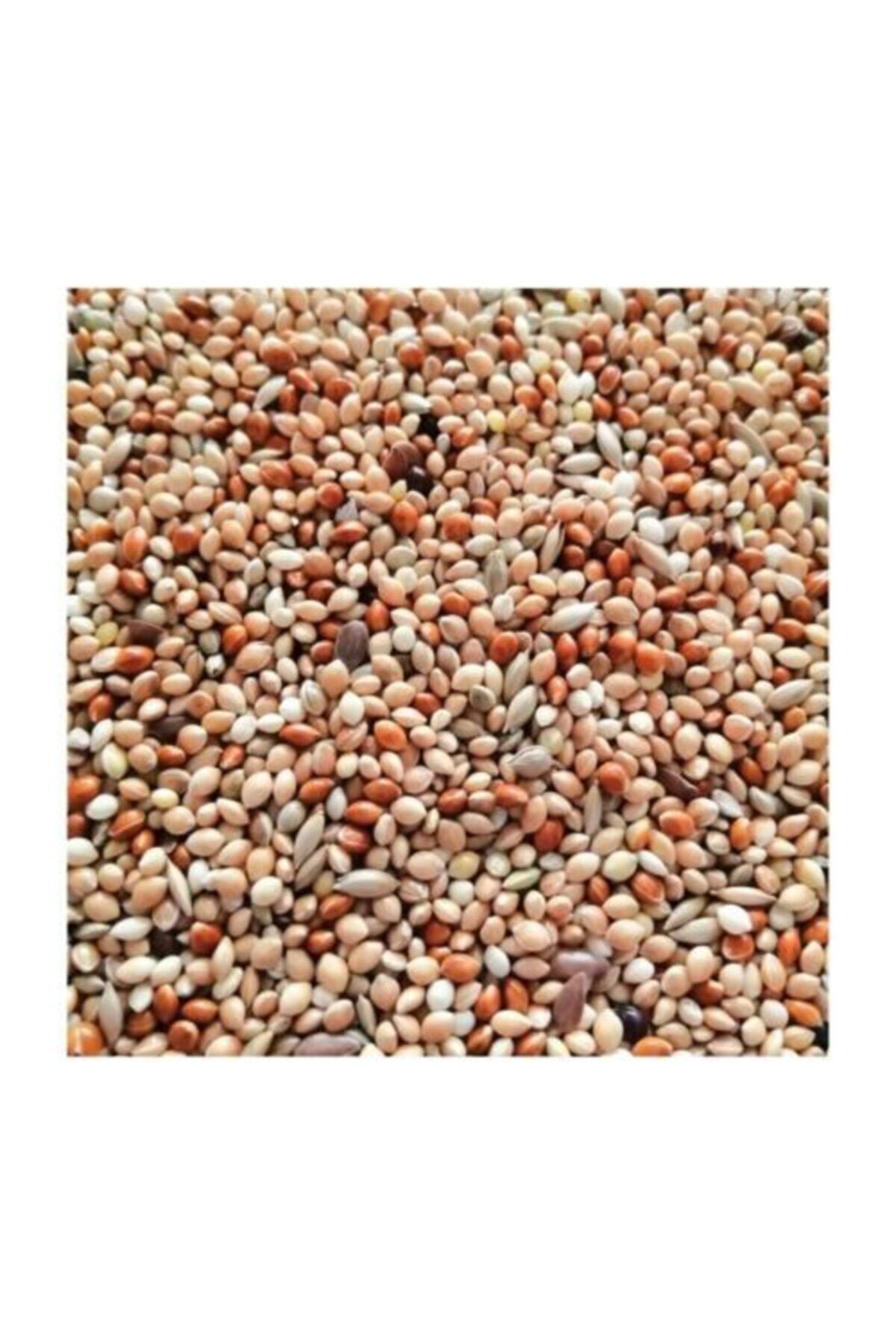 Pupa Kaliteli Lüks Muhabbet Kuşu Yemi 5 Kg