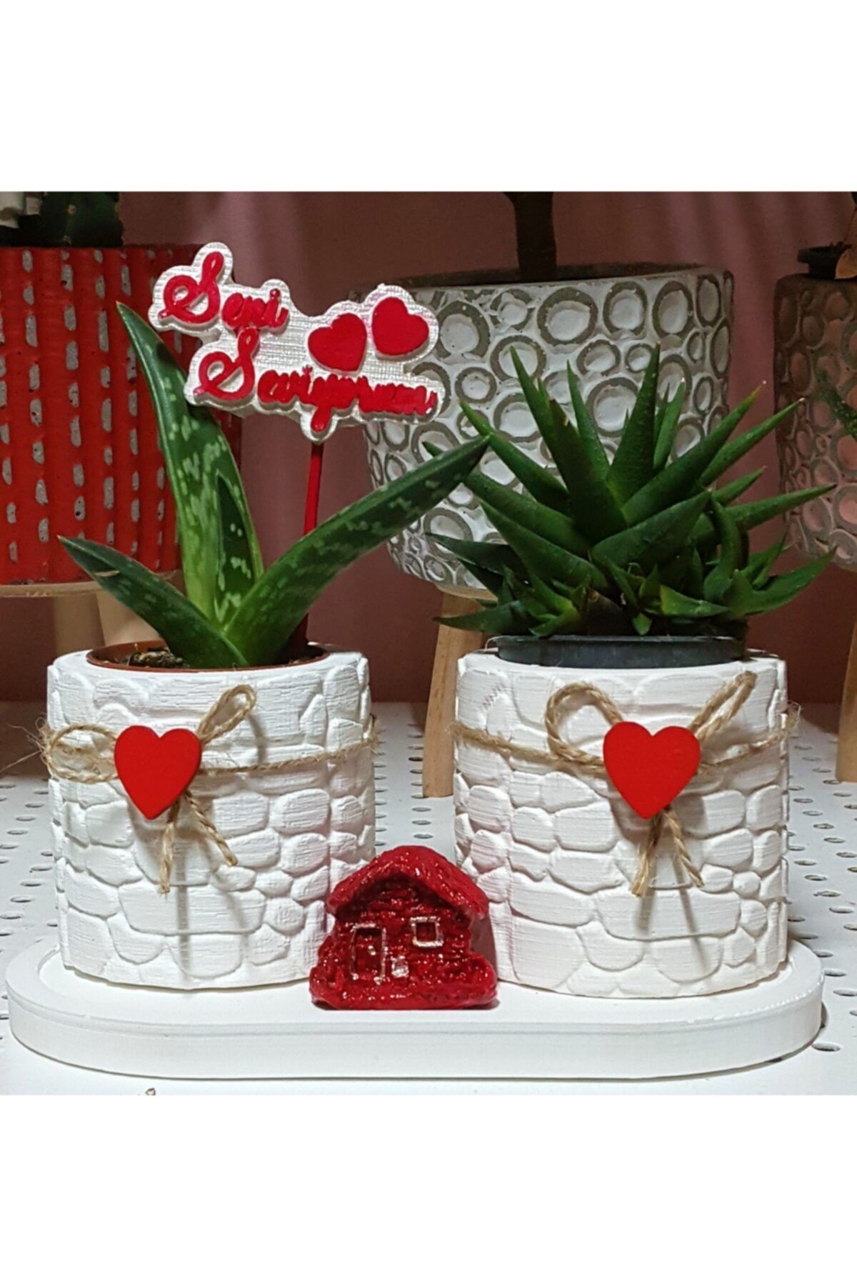 Aysima Çiçekevi Sevgililer Gününe Özel Seni Seviyorum Yazılı Kaktüs Sukulent Saksı Set (çiçeklidir)