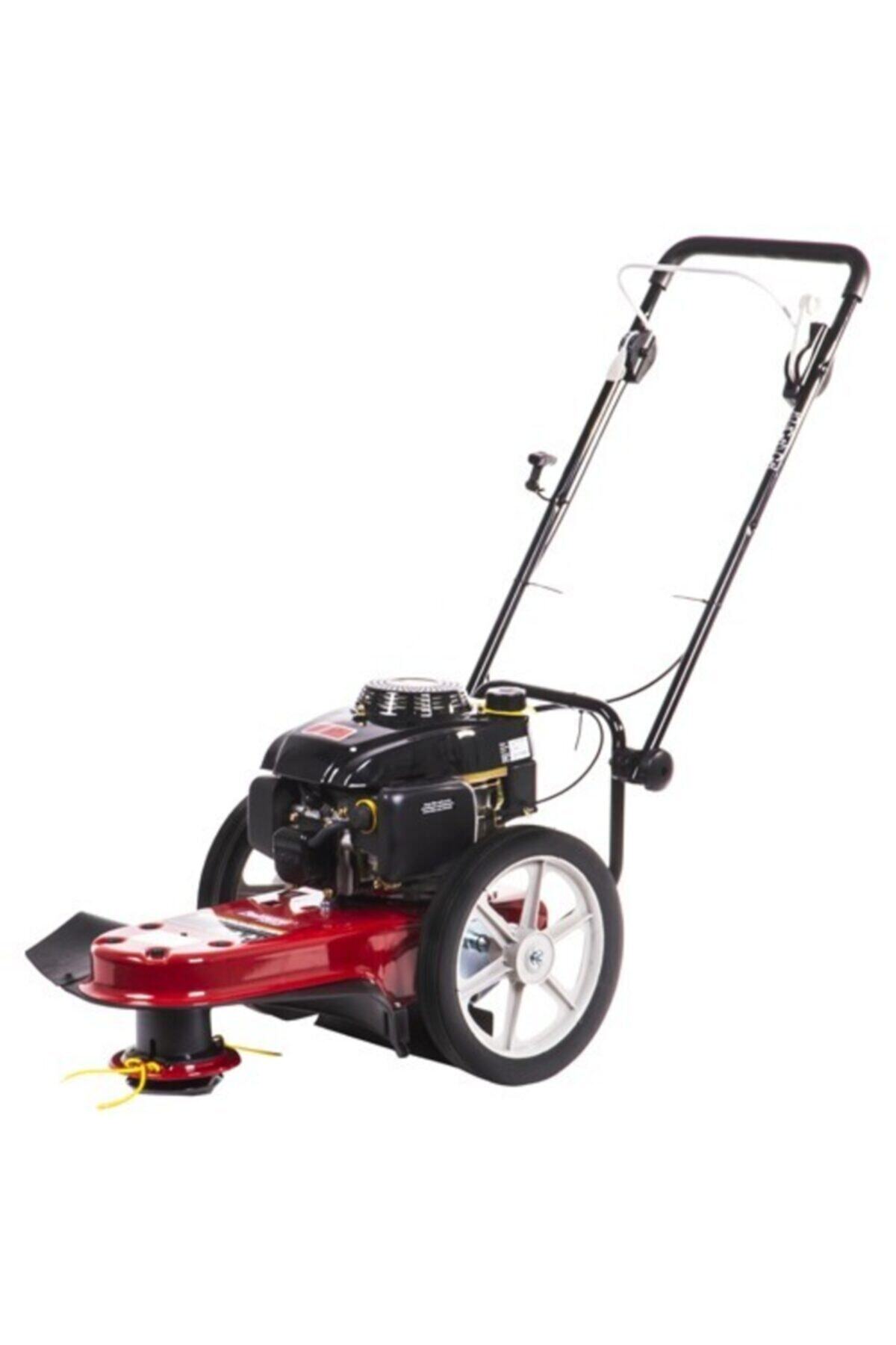 Palmera Tırpan Pt160 5.5 Hp Tekerlekli