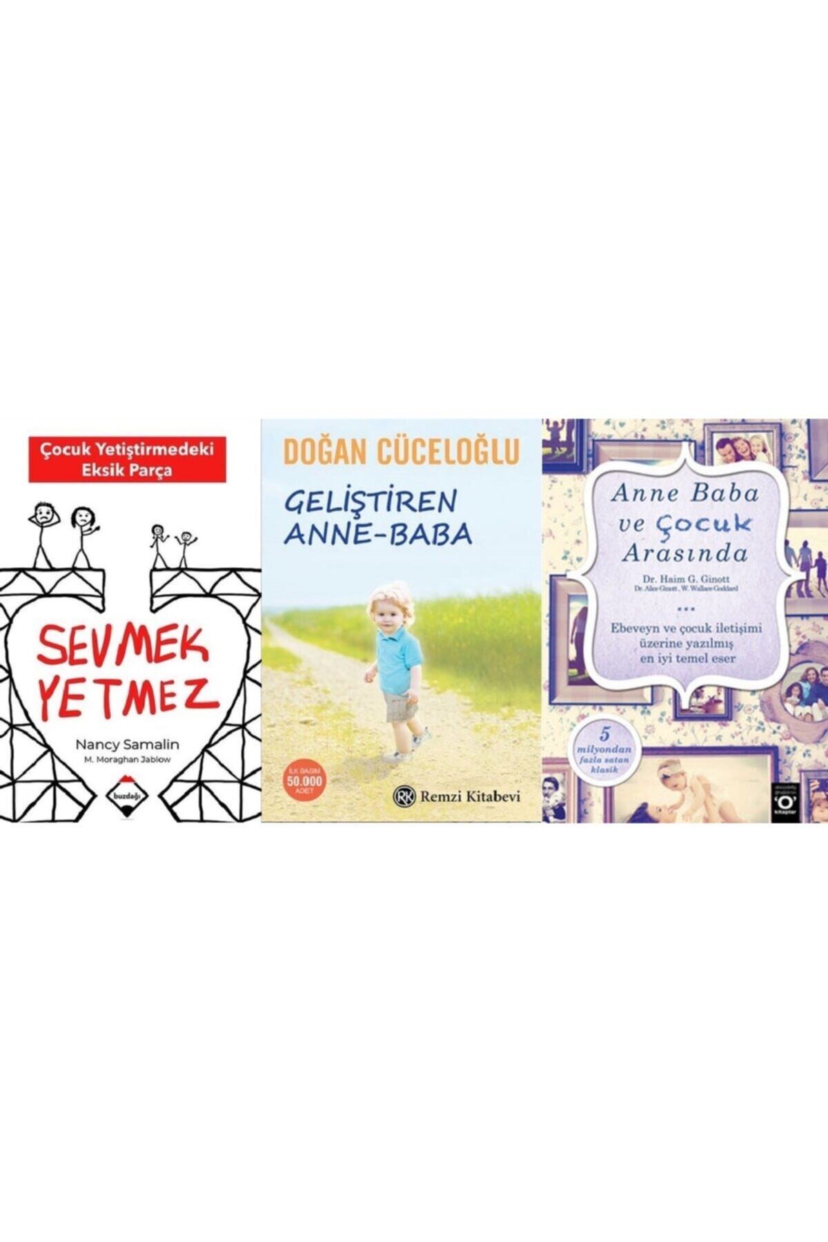 Buzdağı Yayınları Sevmek Yetmez + Geliştiren Anne Baba+anne Baba Arasında 3 Kitap Set