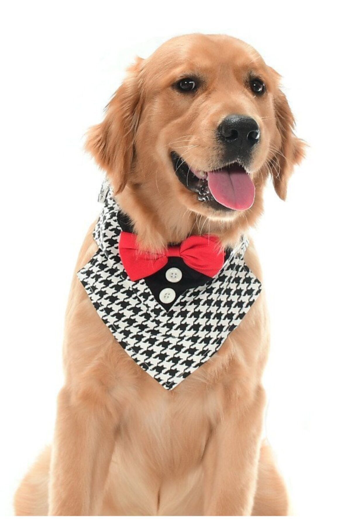 Petza Orta Ve Büyük Irk Köpekler Için Yakalık Bandana Morjop