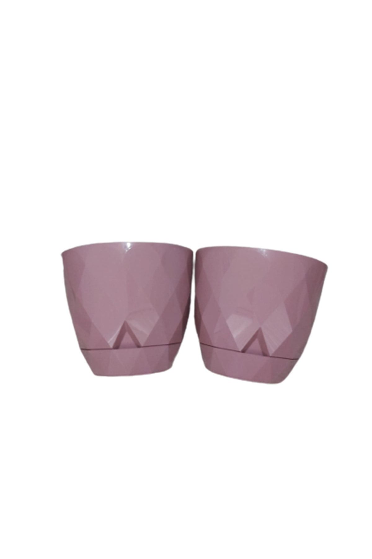 Karasu plastık Tahtakale Avm 5 No 9.2 L Pembe Yakamoz Saksı 2 Adet