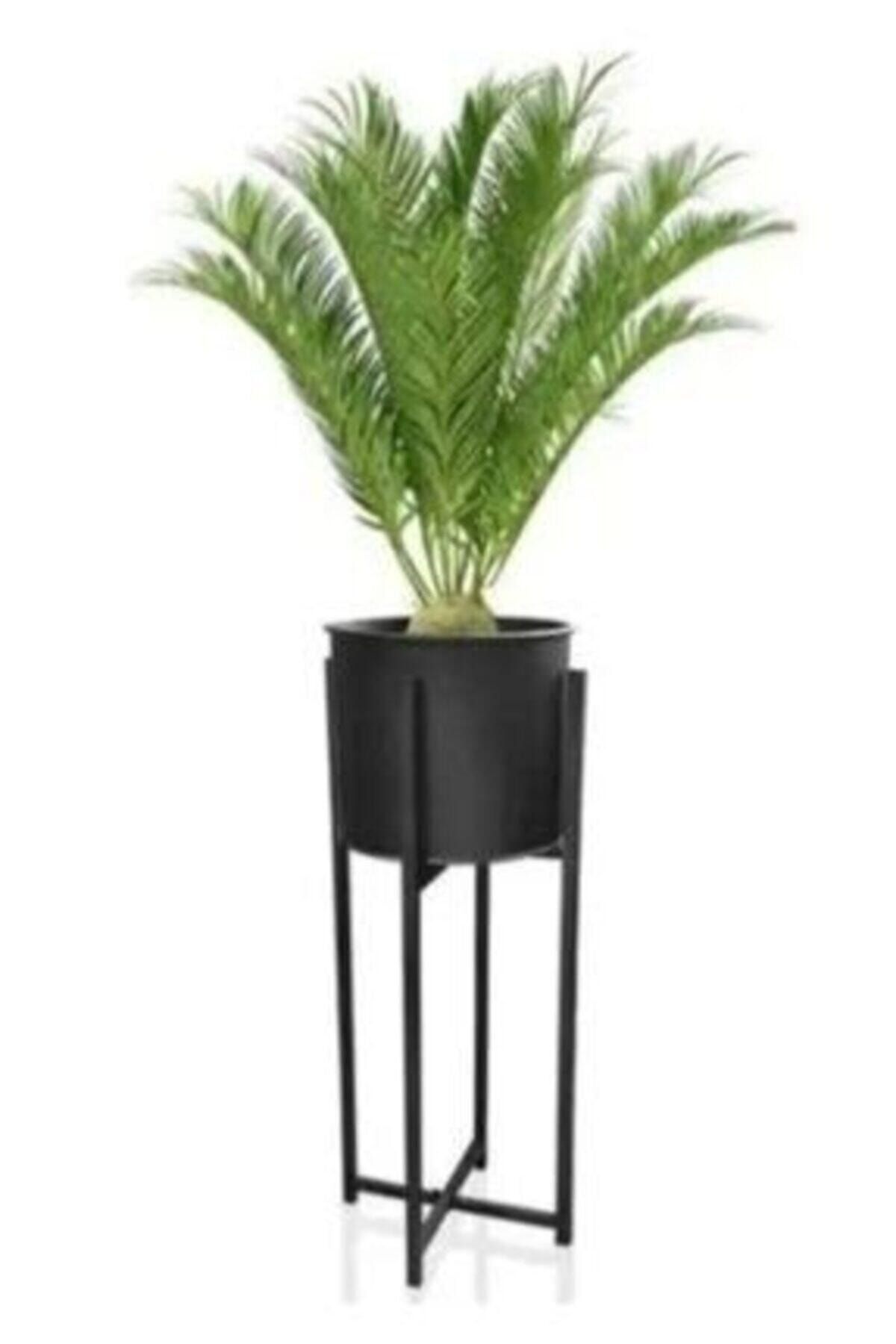 T&M HOME Metal Siyah Dekoratif Ayaklı Saksı 25x64 Cm