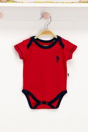 Lacoste Bebek Body Zibin Modelleri Fiyatlari Trendyol