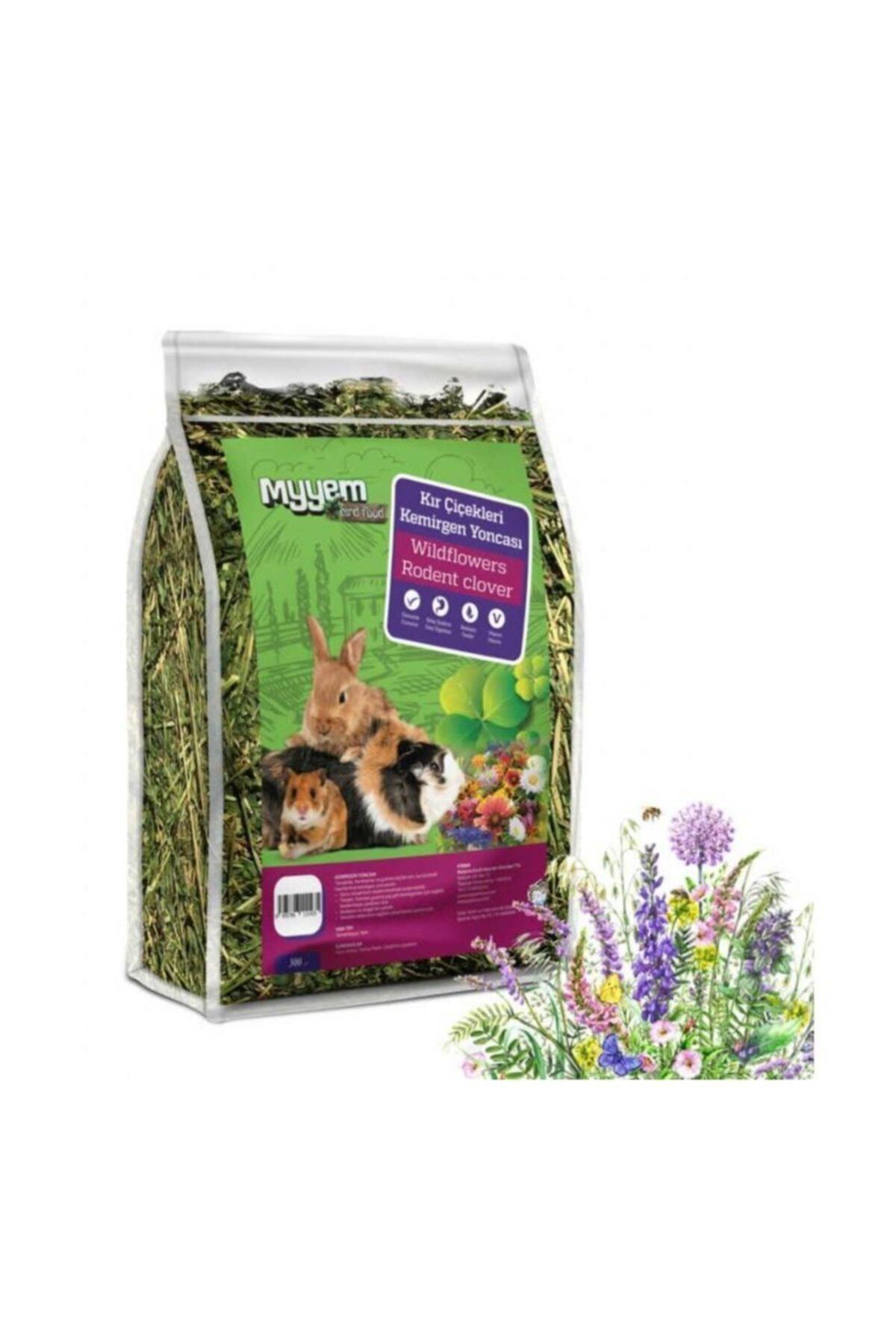 myyem 10 Çeşit Kır Çiçekli Çayır Yoncası 300 Gr.