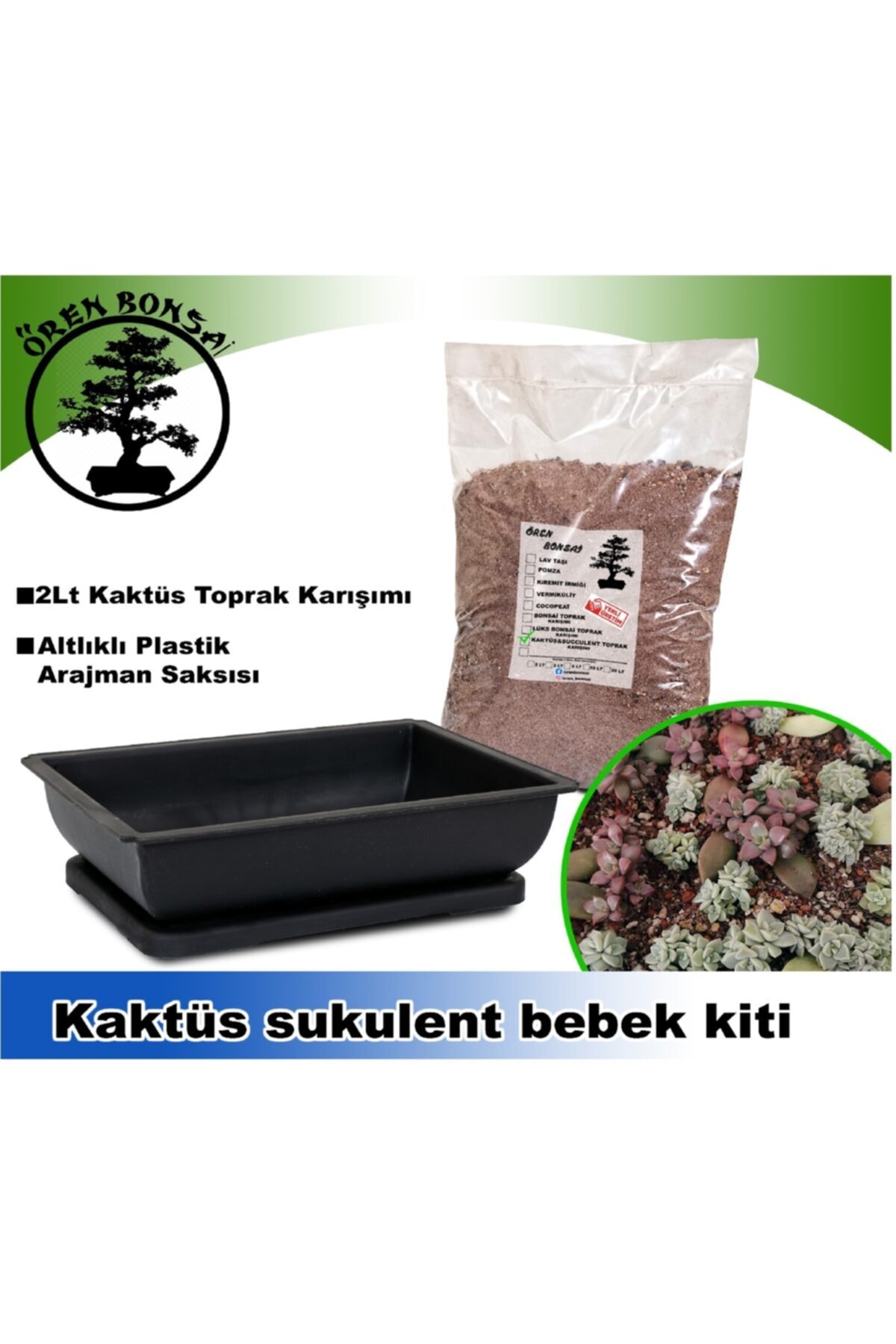 ÖREN BONSAİ Kaktus Succulent Bebek & Aranjman Kiti