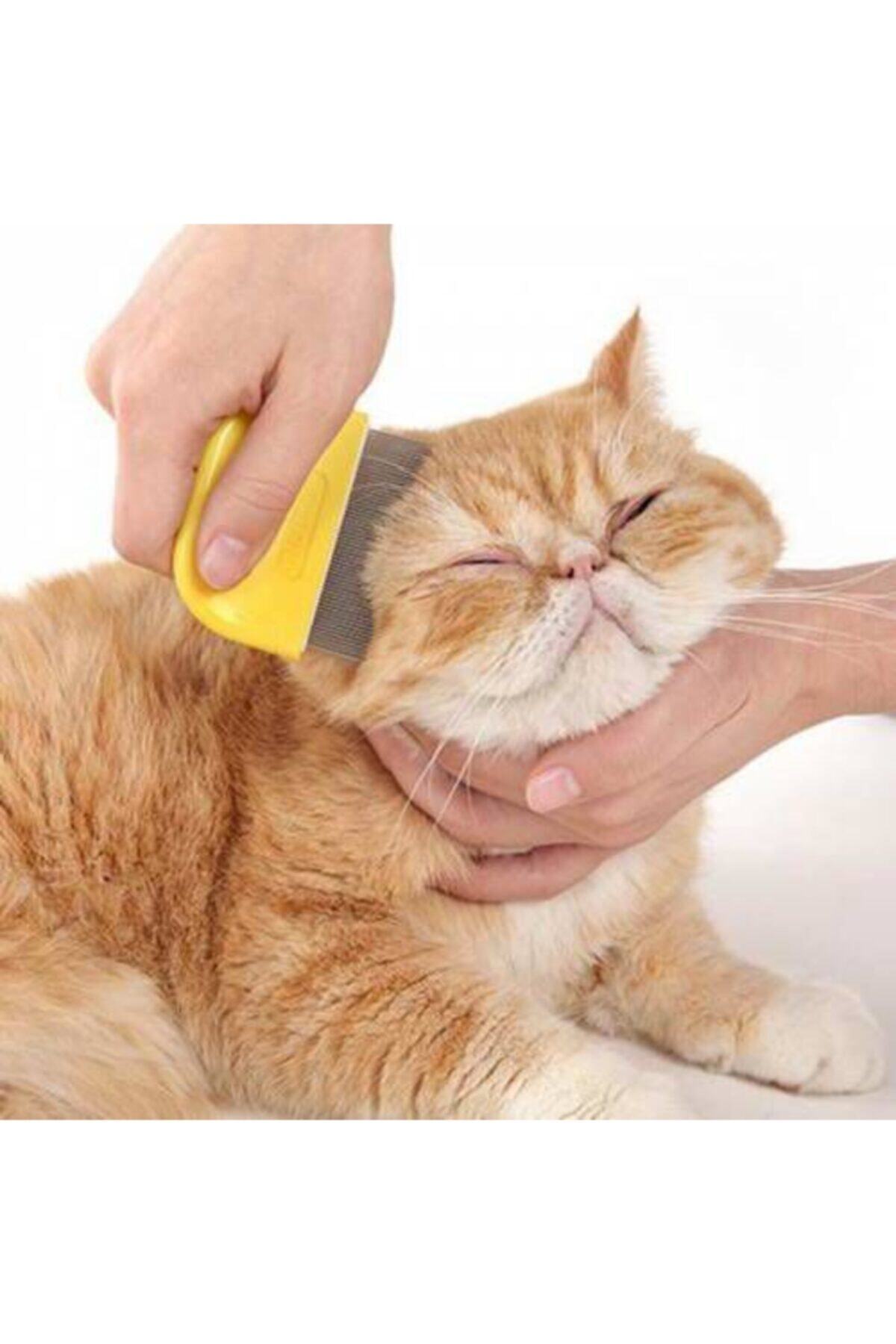 CMT Evcil Hayvan Tarağı Kedi Köpek Bit Ve Pire Temizleme Bakım Tarağı Evcil Hayvan Tarağı Bakım Fırçası