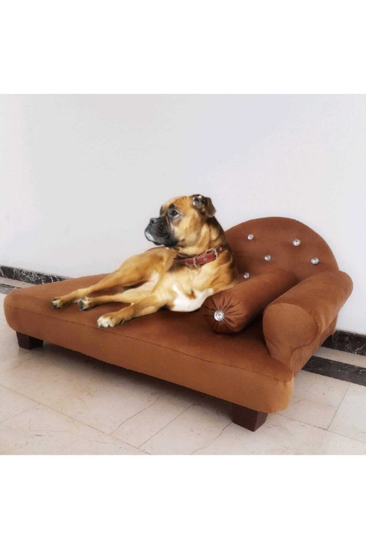 Pet Care Büyük Köpek Kanapesi