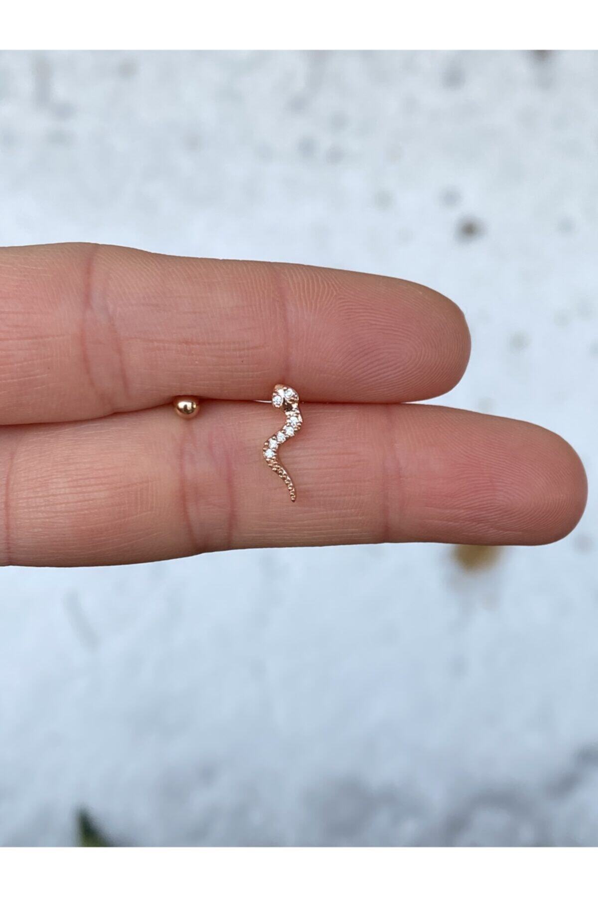 TAKIKRALI Rose Yılan Tragus/helix/kıkırdak Piercing