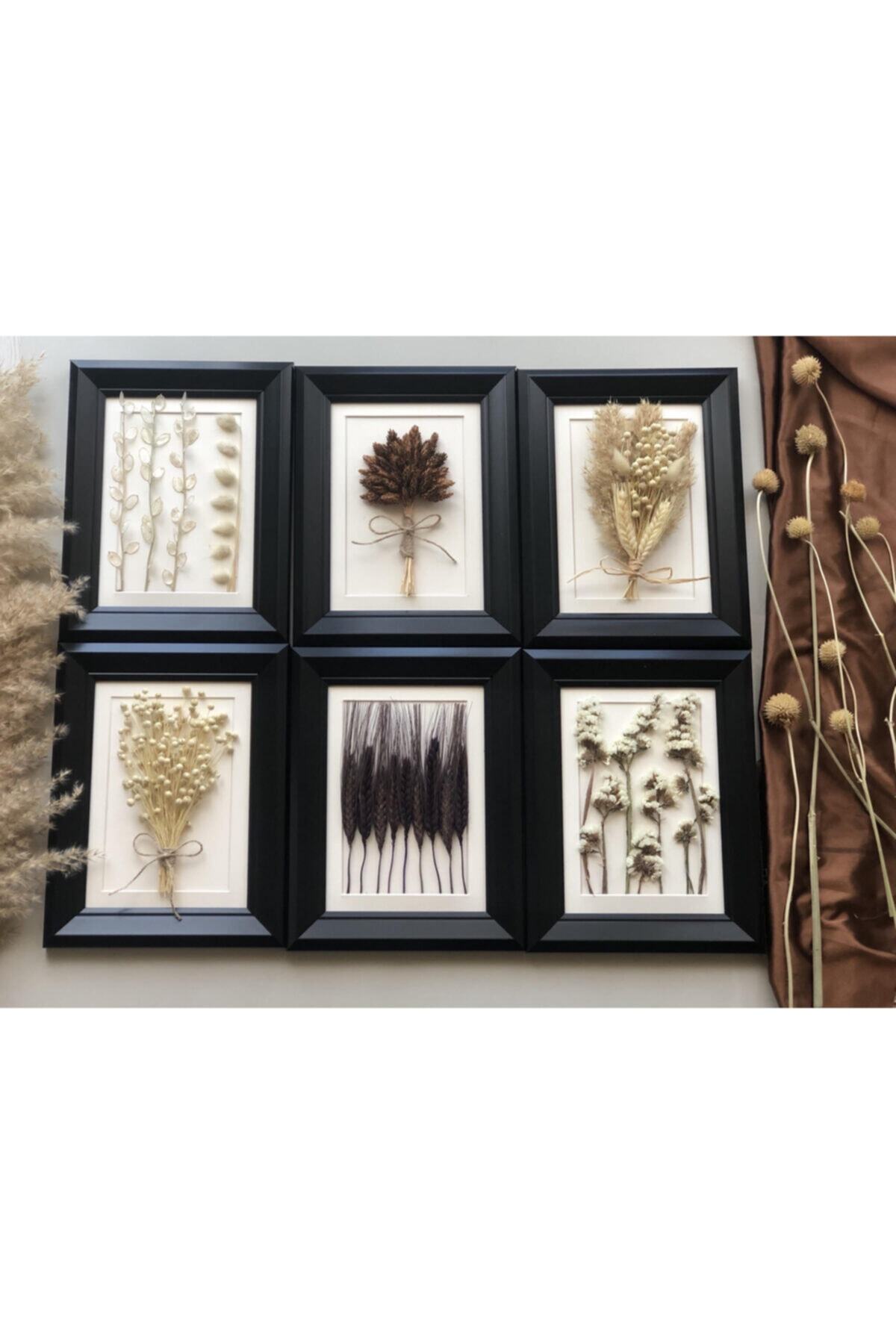 florbar Kuru Çiçekli Siyah Çerçeve Tablo Seti- Ev Hediyesi Set