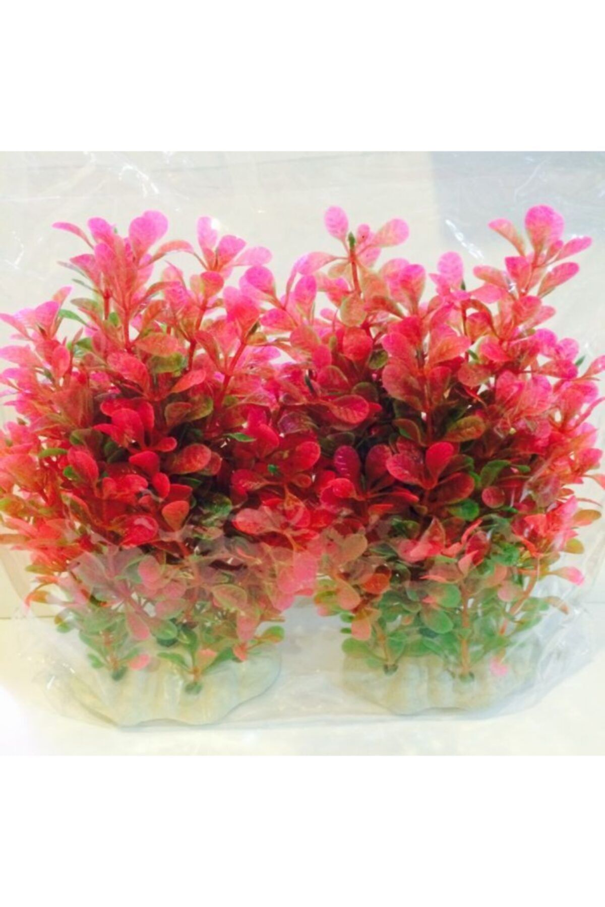 Natural Color 1197-plastik Bitki 25cm 2 Li Paket Akvaryum Dekoru