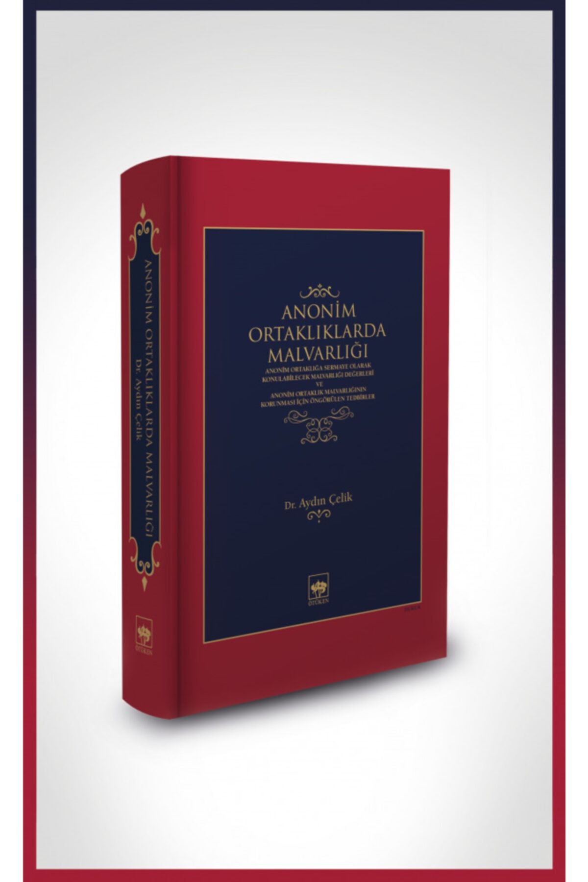 Ötüken Neşriyat Anonim Ortaklıklarda Malvarlığı