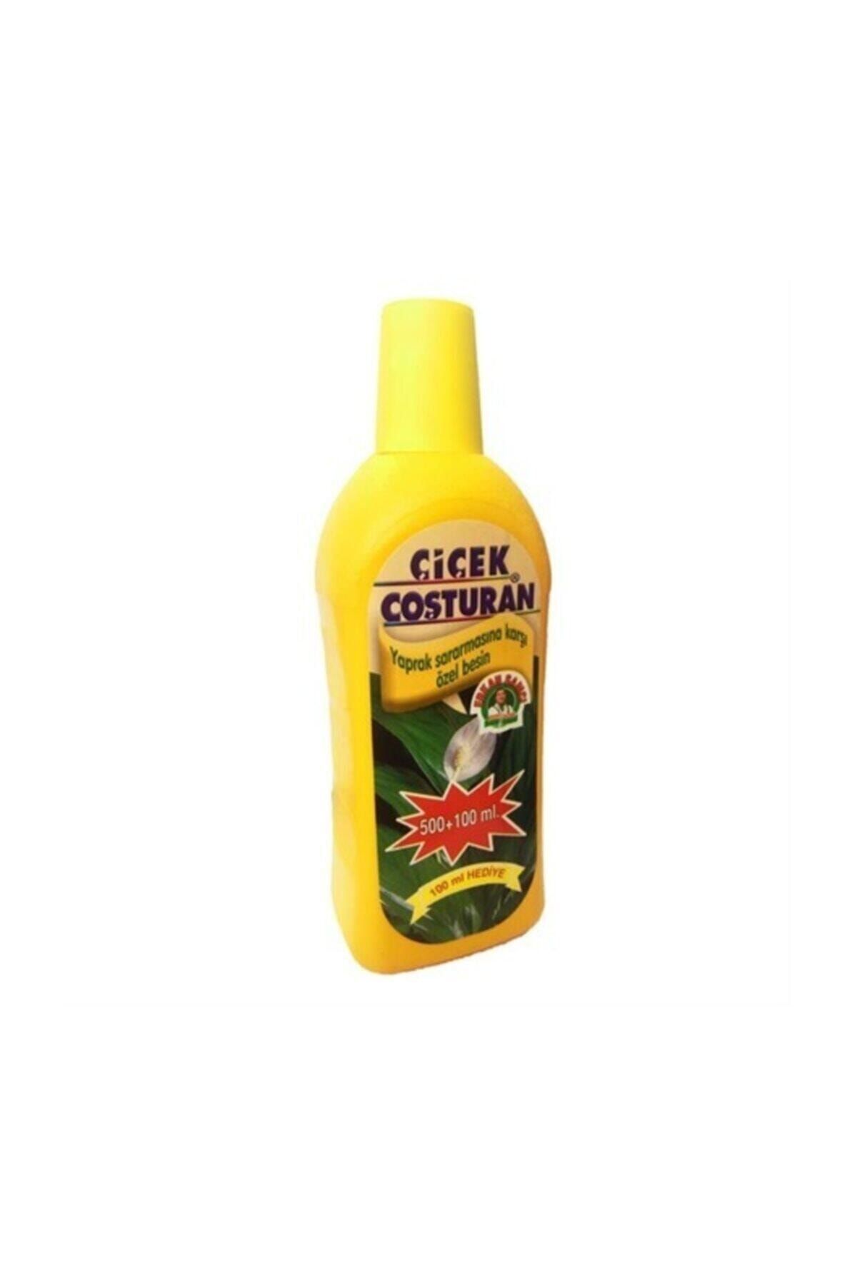 ÇİÇEK COŞTURAN Yaprak Sararması Karşı Özel Besin