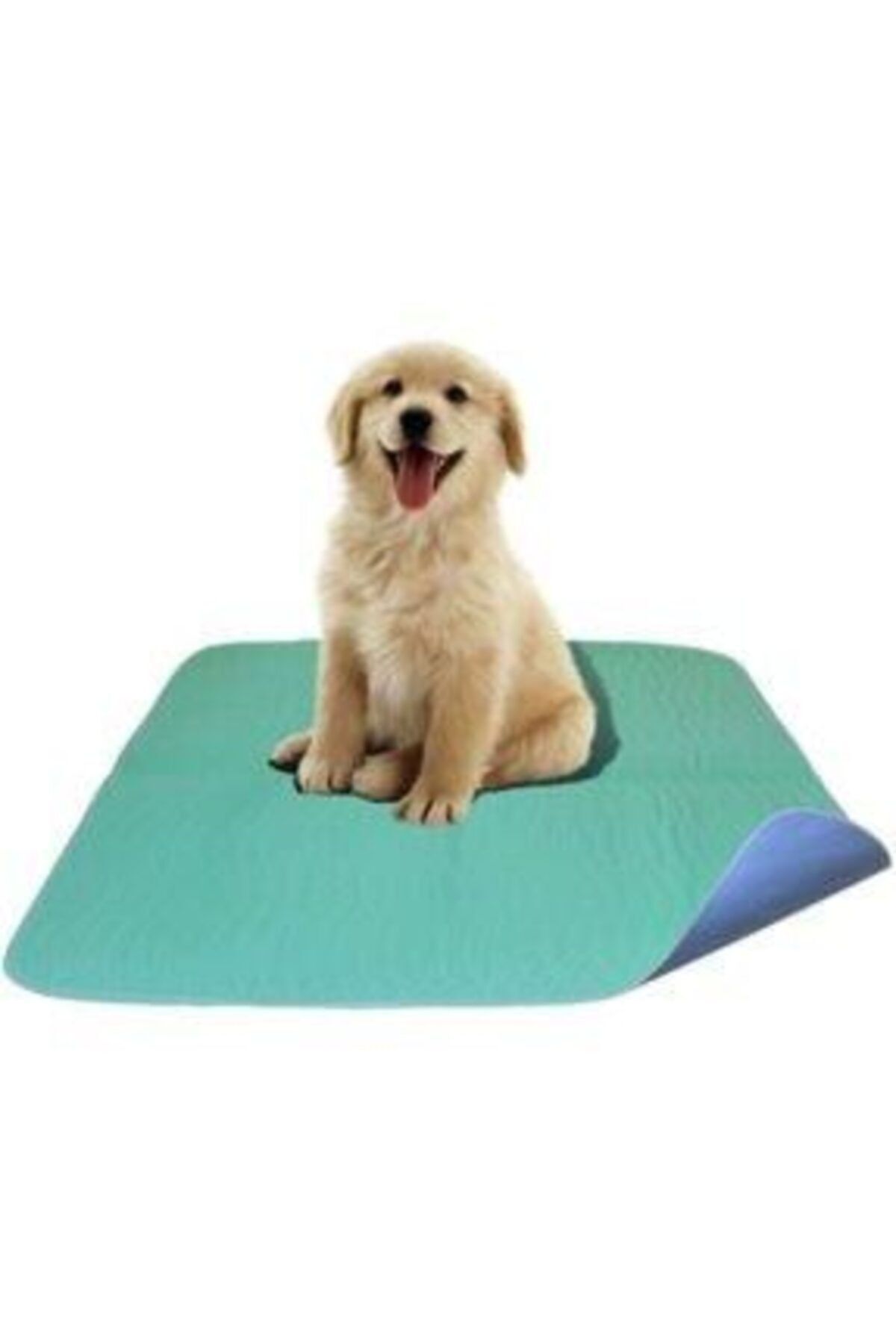 BolDen Abso Yıkanabilir Emici Köpek-kedi Çiş Pedi (75x85 Cm)