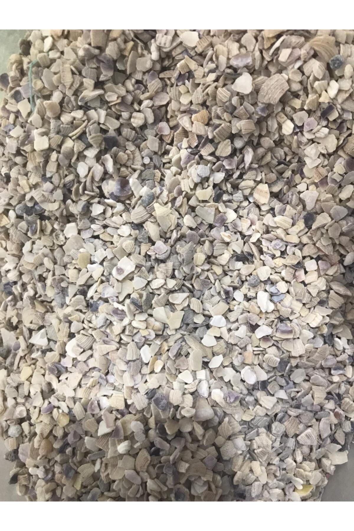 BİO SAND Akvaryum Kumu Midye Kırığı 1 Kg