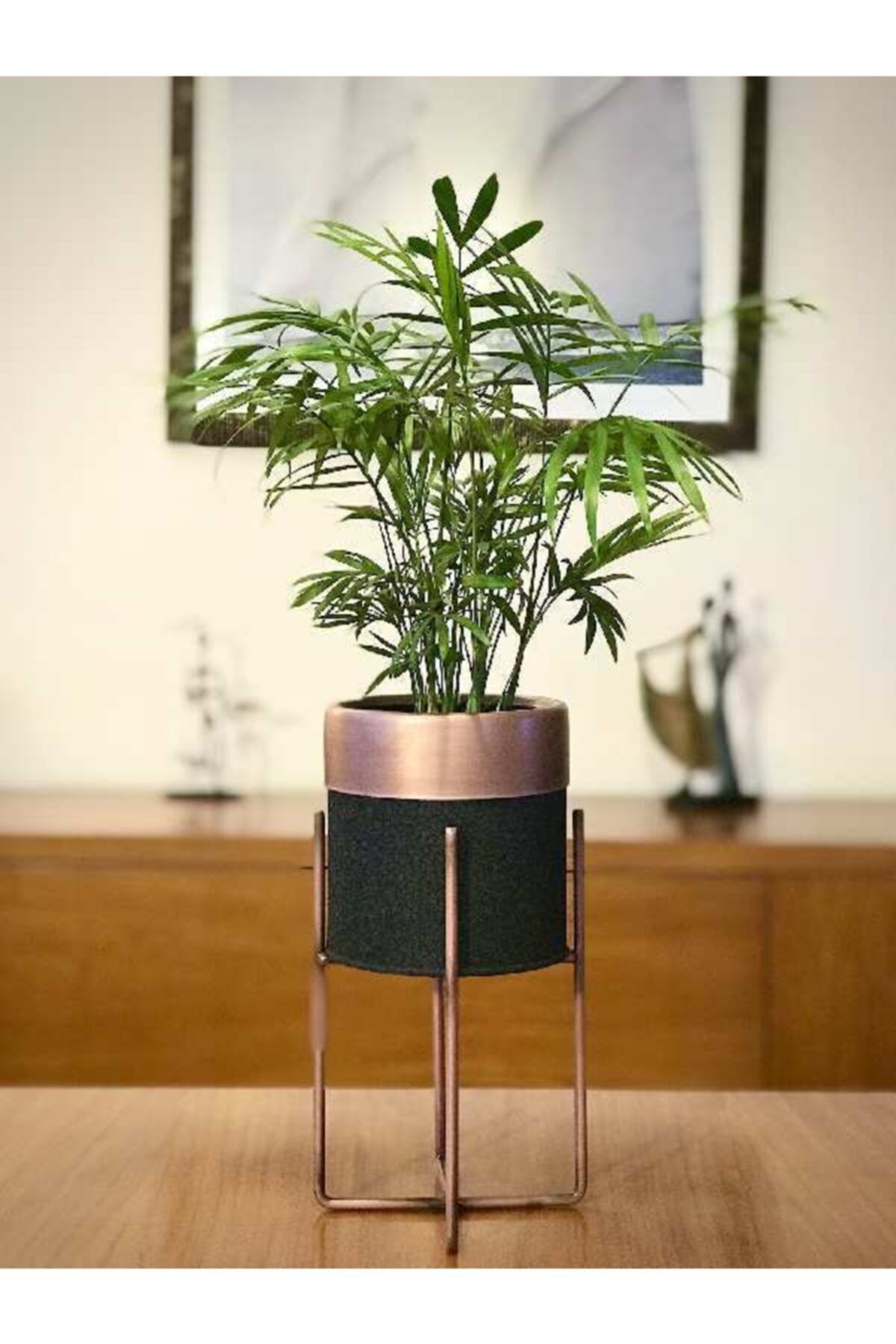 Rustic Concept Tel Ayaklı Mini Saksı