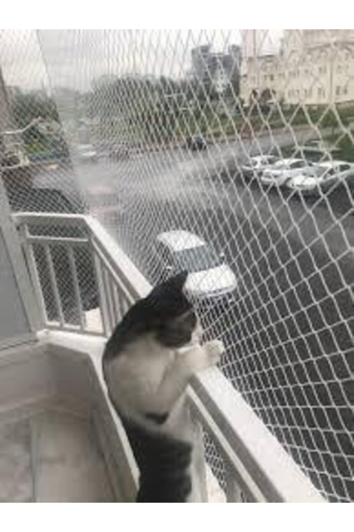 ÜNALLARTARIM 2,50 X 1 Metre Kedi Filesi Kedi Koruma Filesi Balkon Filesi Balkon Güvenlik Ağı Kedi Koruma Ağı File