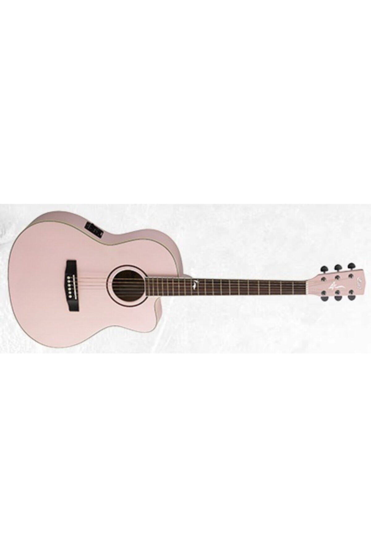 CORT Elektro Akustik Gitar Kılıflı, Soluk Pembei Metali