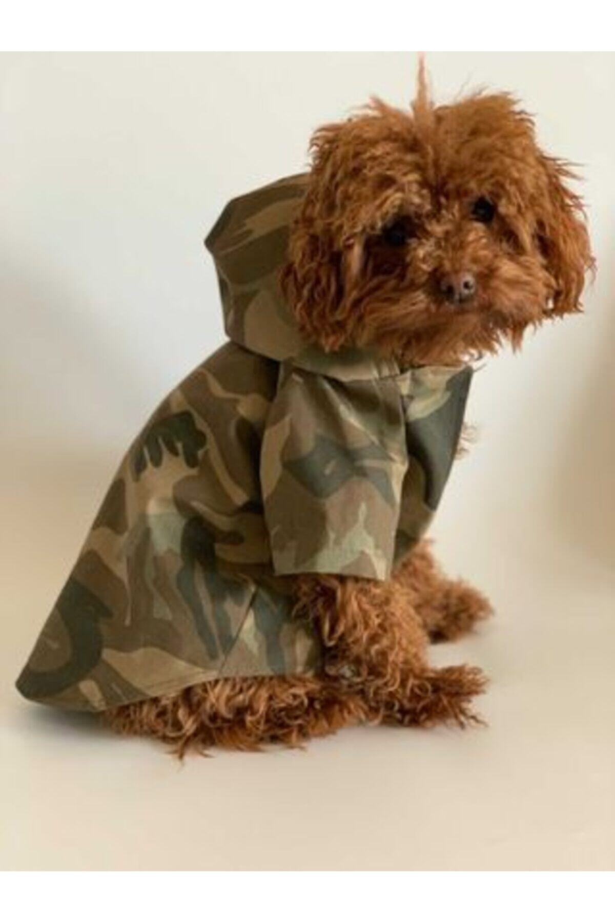 aria pet butik Köpek Kamuflaj Yağmurluk Su Geçirmez