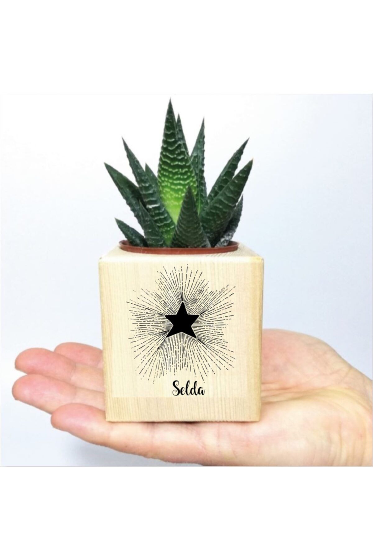 Globalstarproducts Kişiye Özel Yıldız Temalı Isimli Küp Saksıda Sukulent