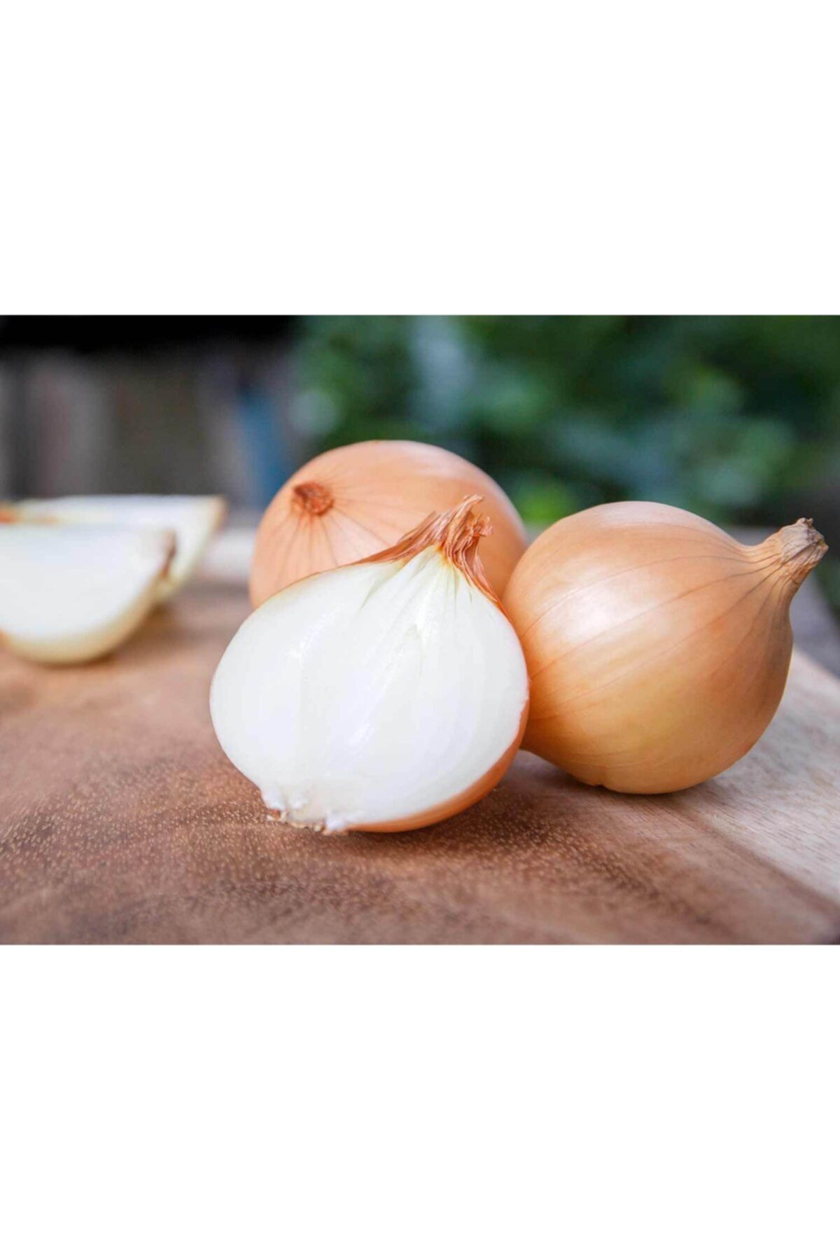 amasya Büyük Boy Kuru Soğan 1 Kg