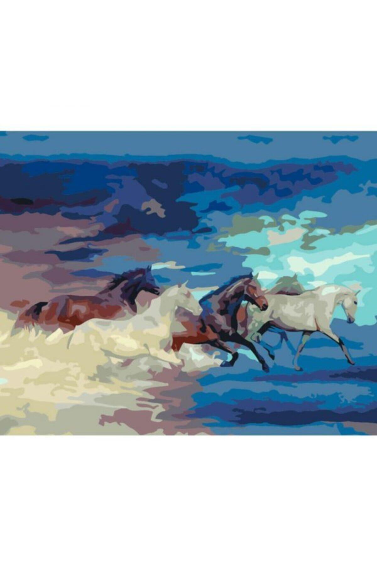 RAMAZANNAKİSVEHOBİ Sayılarla Boyama Çerçeveli 50x65 Cm Numaralı Akrilik Boya Seti Asil Gül Renkleriatların Hedefi