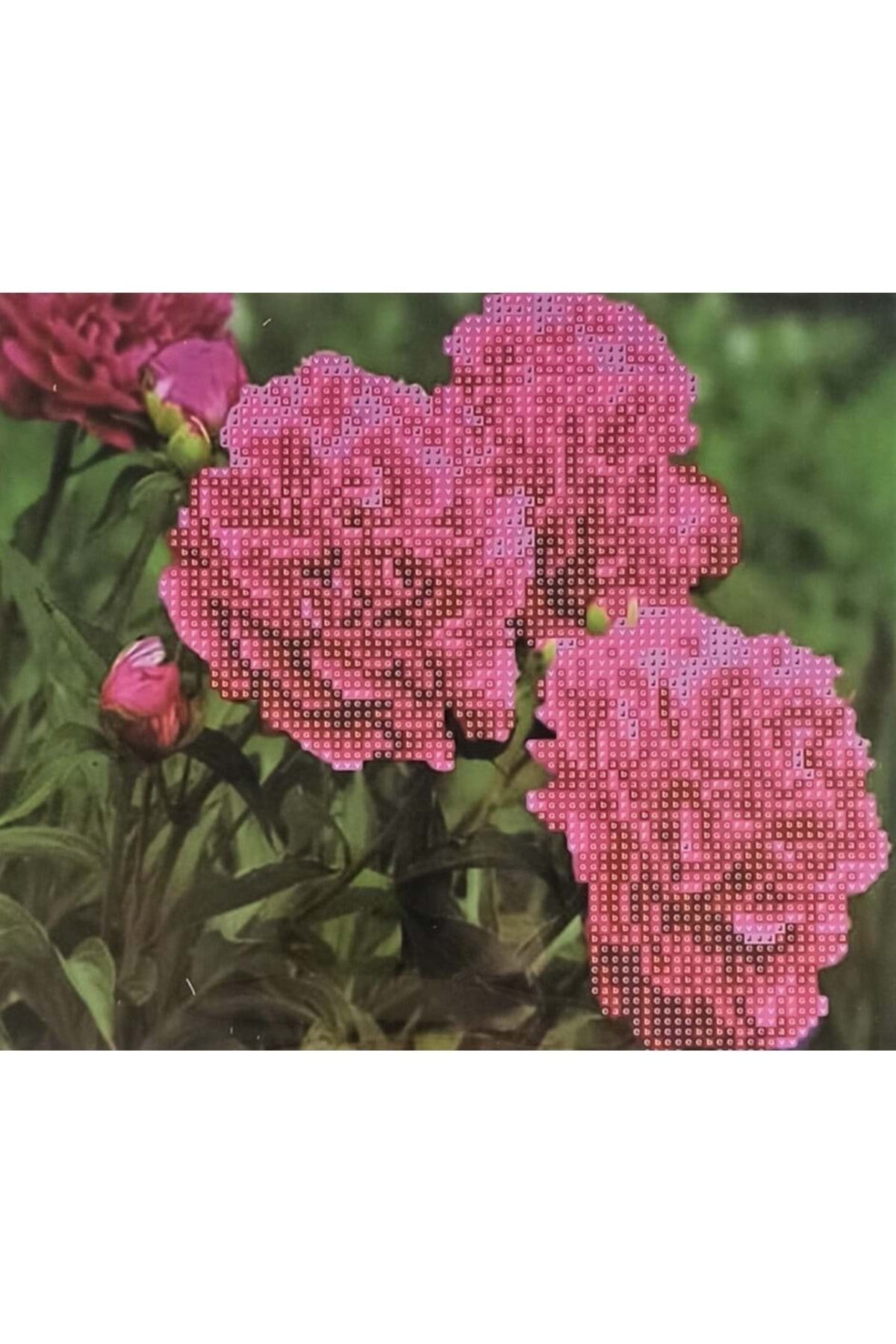 Hobigun Elmas Mozaik Tablo Diamond Painting Kit Puzzle - 3 Gül - 21x25