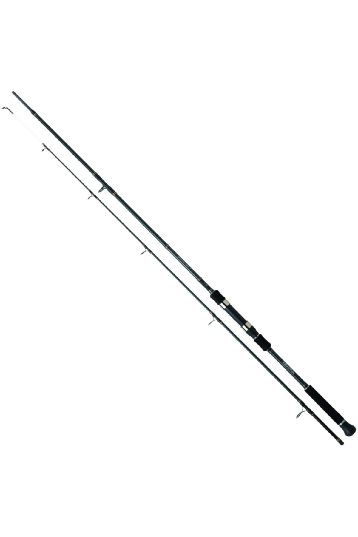DAIWA Procaster Game Iı 300cm 60-120gr Olta Kamışı