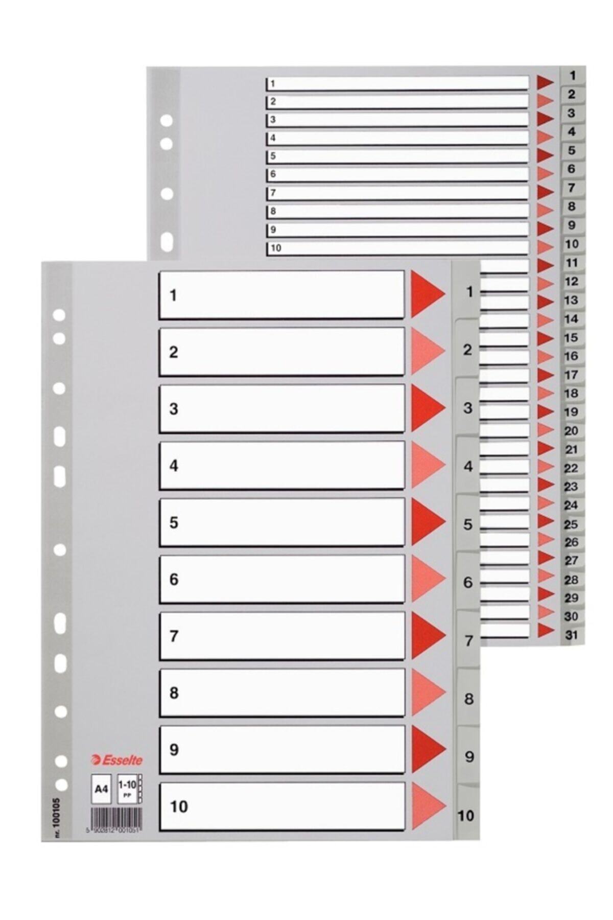 Esselte 1-10 Rakamlı Ayraç 100105