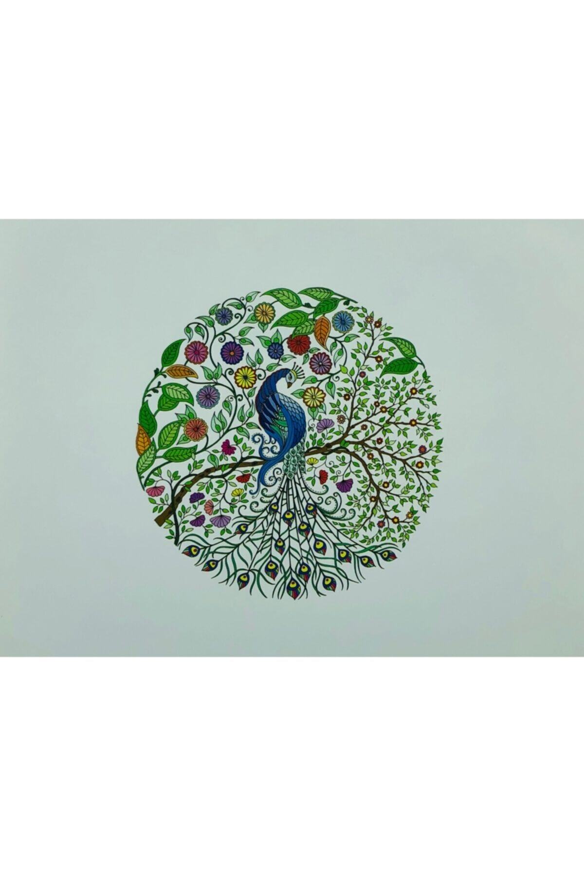 OzanTuhafiye Yastık Kılıfı Kırlent Kılıfı Kumaş Boyama Seti 45x45 Cm 12