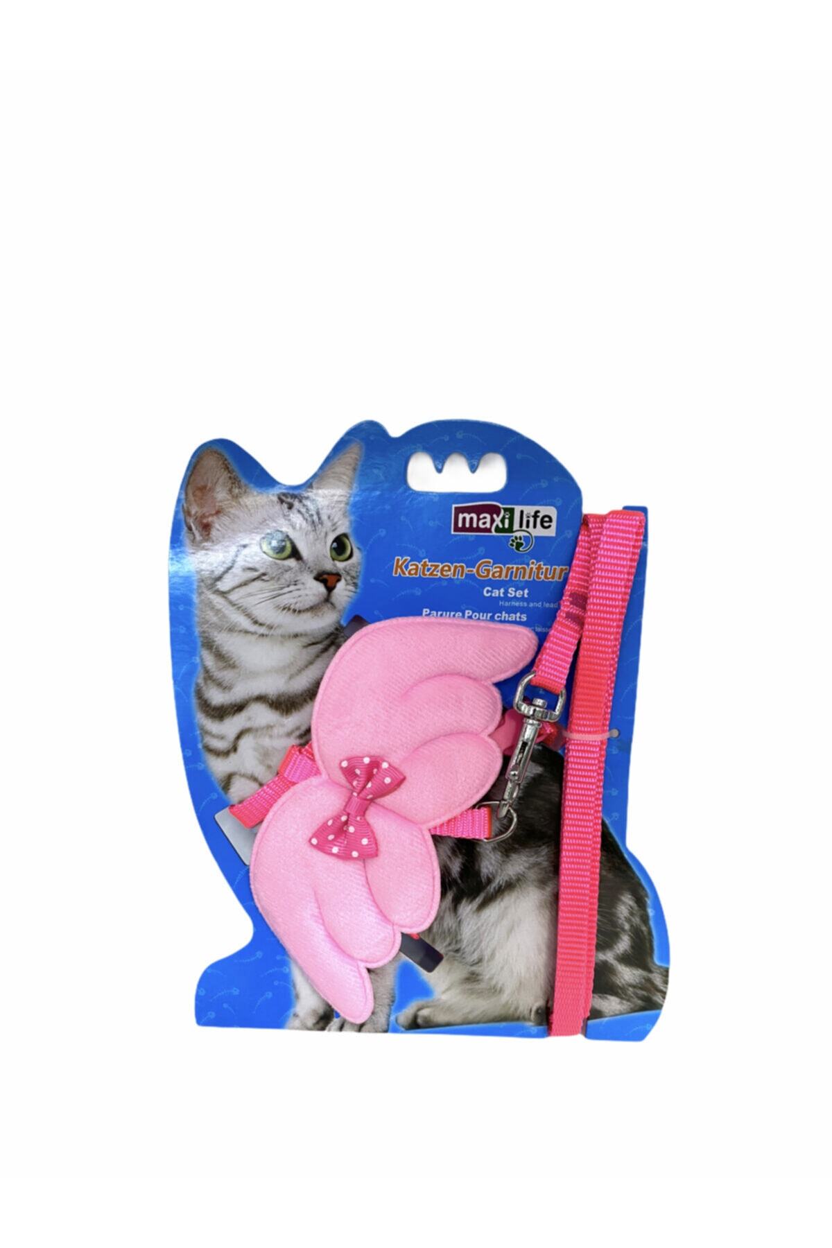 mnö mammamia mix Kedi Göğüs Tasması Melek Kanatlı